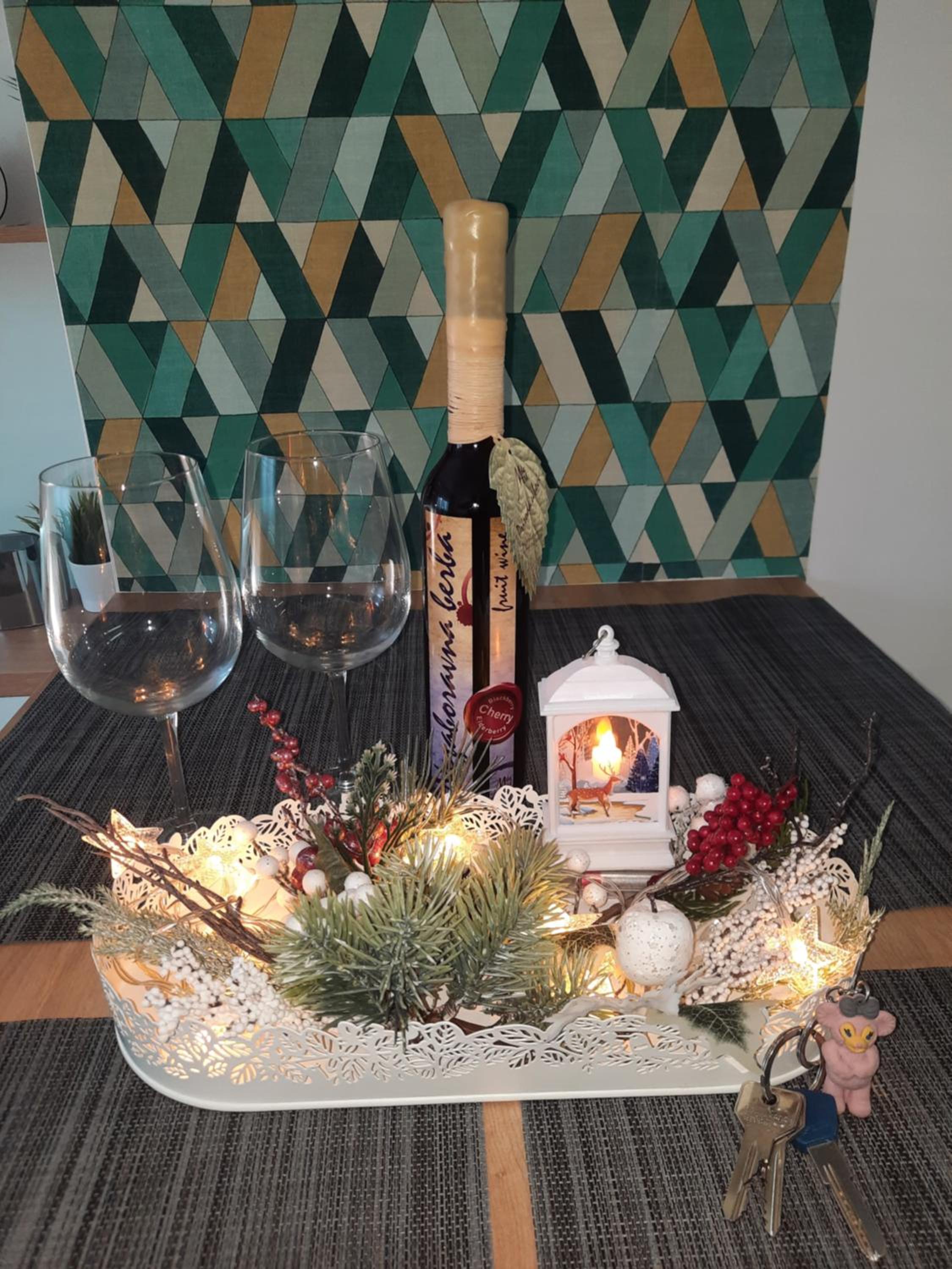 Bankovic Apartman view 5