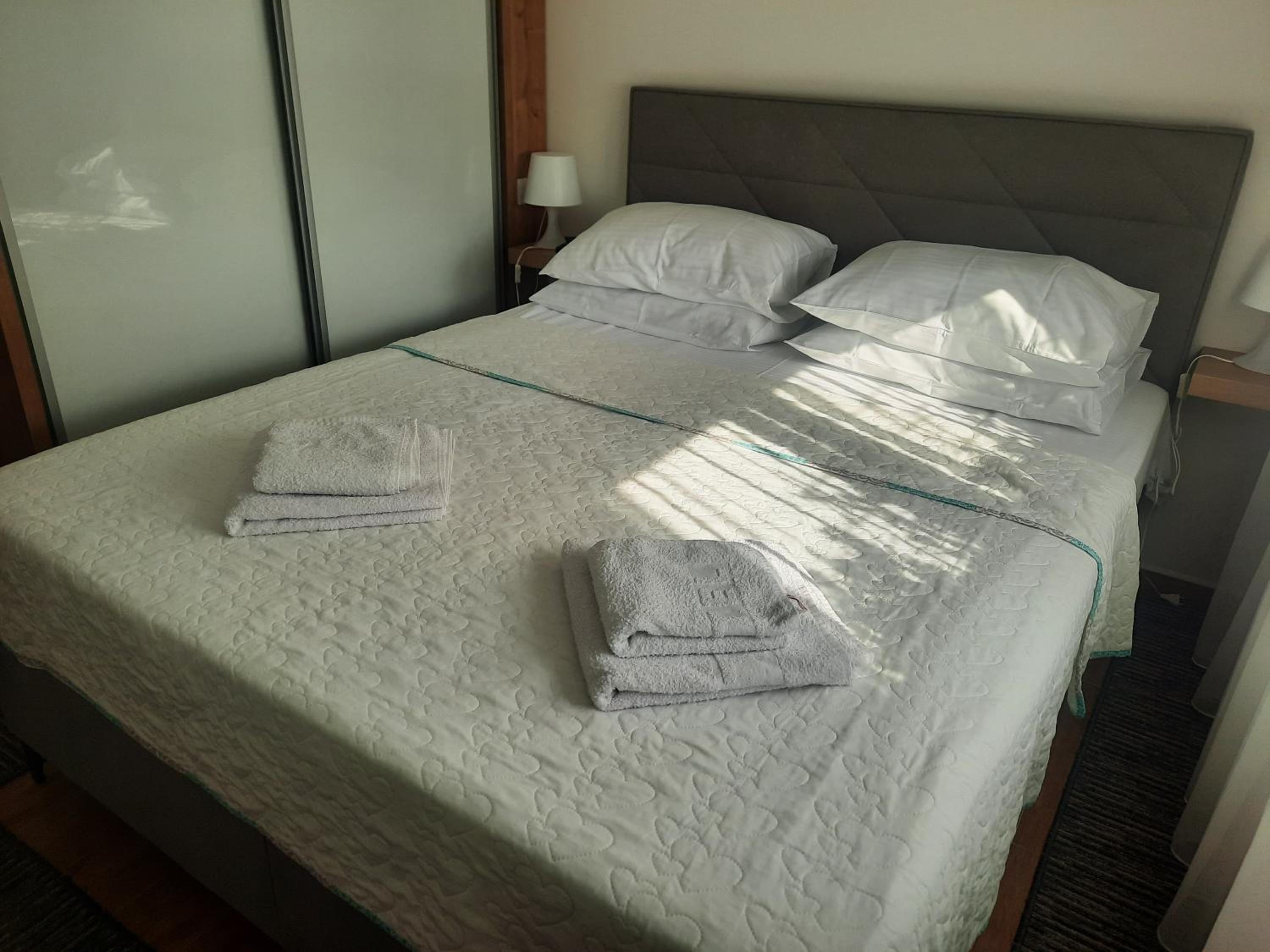 Bankovic Apartman view 3