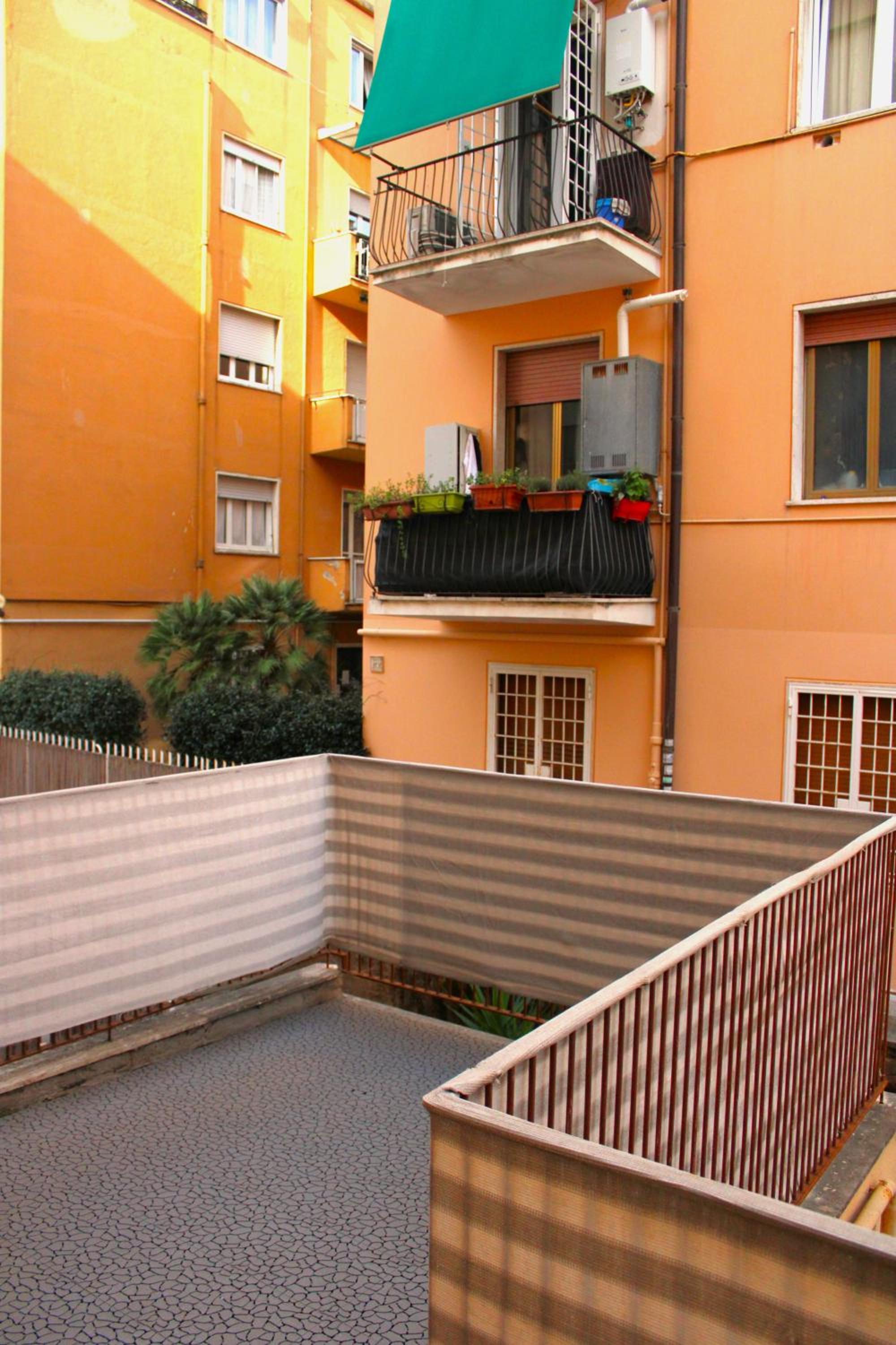 Mikasa Balduina Roma