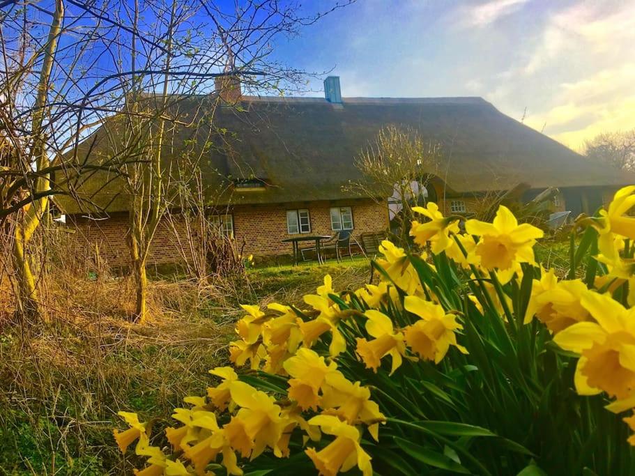 Ferienwohnung mit Luxusbad, Terrasse Ostseenähe
