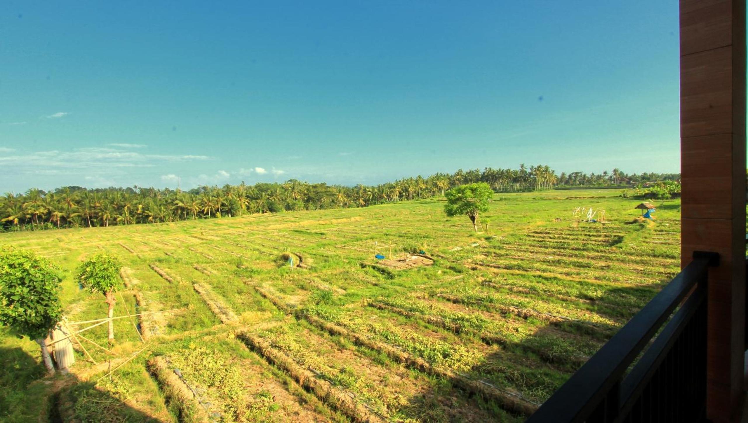 Ubud Canti Accommodation