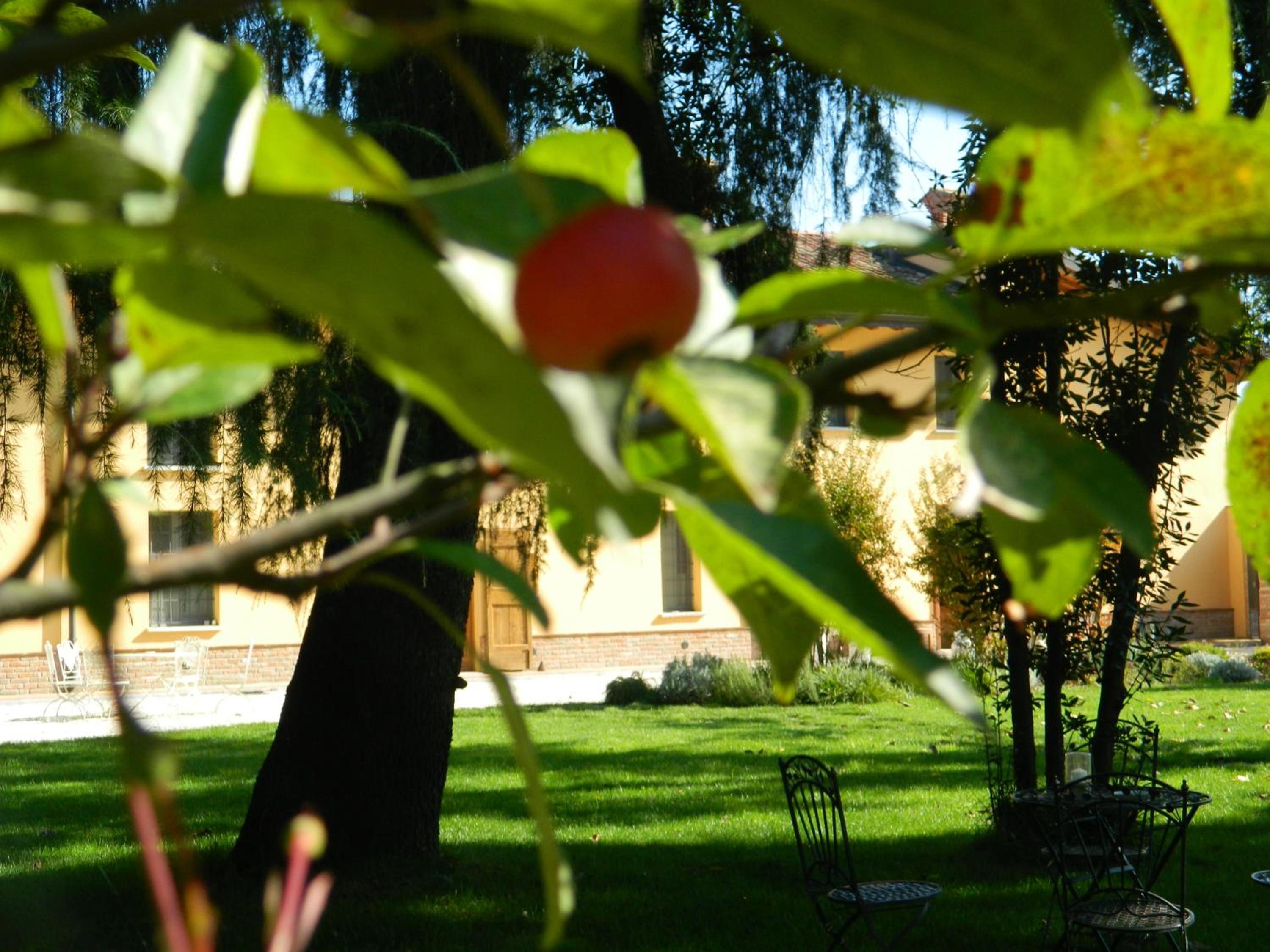 Agriturismo Cascina Pezzolo