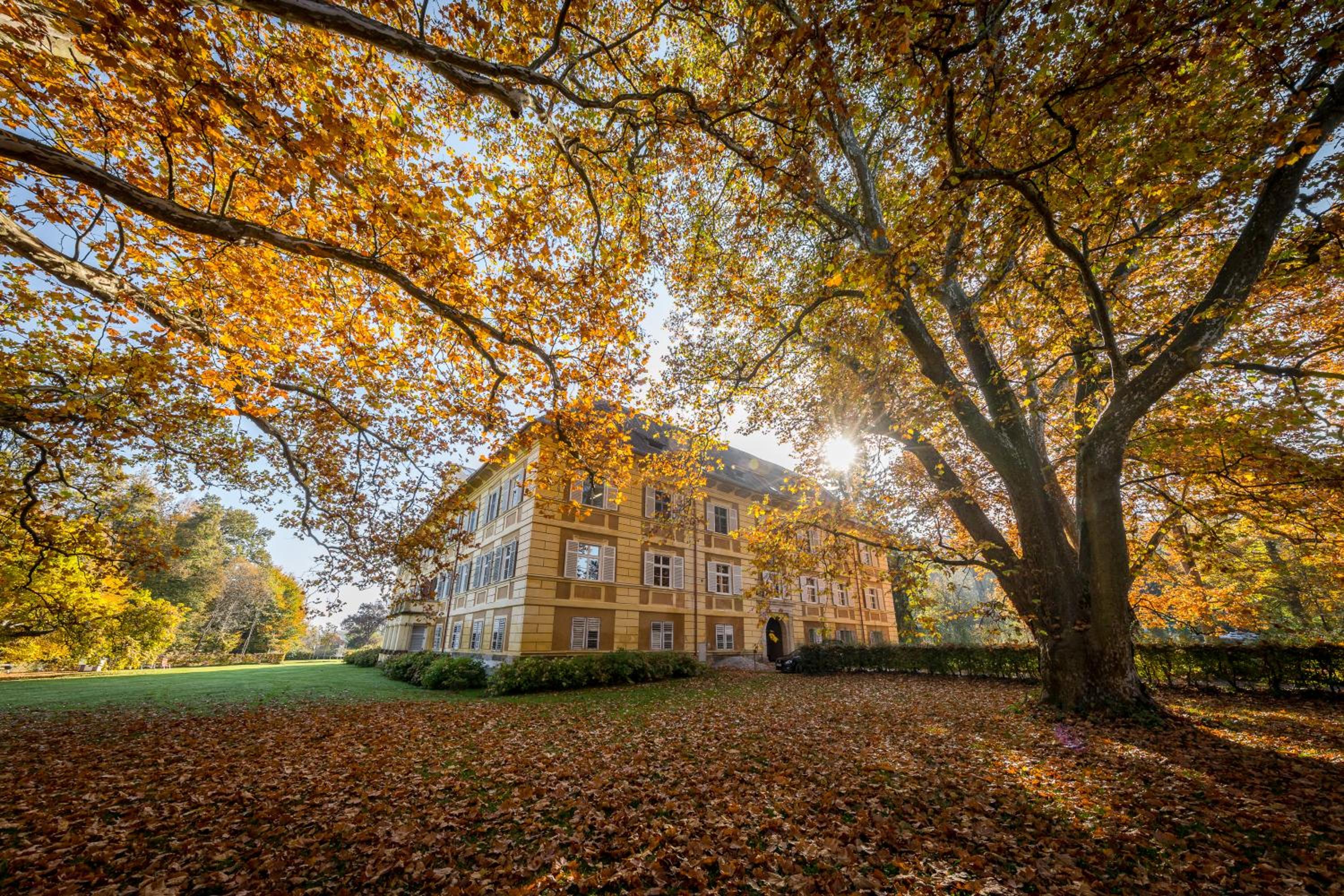 Schloss Frauenthal
