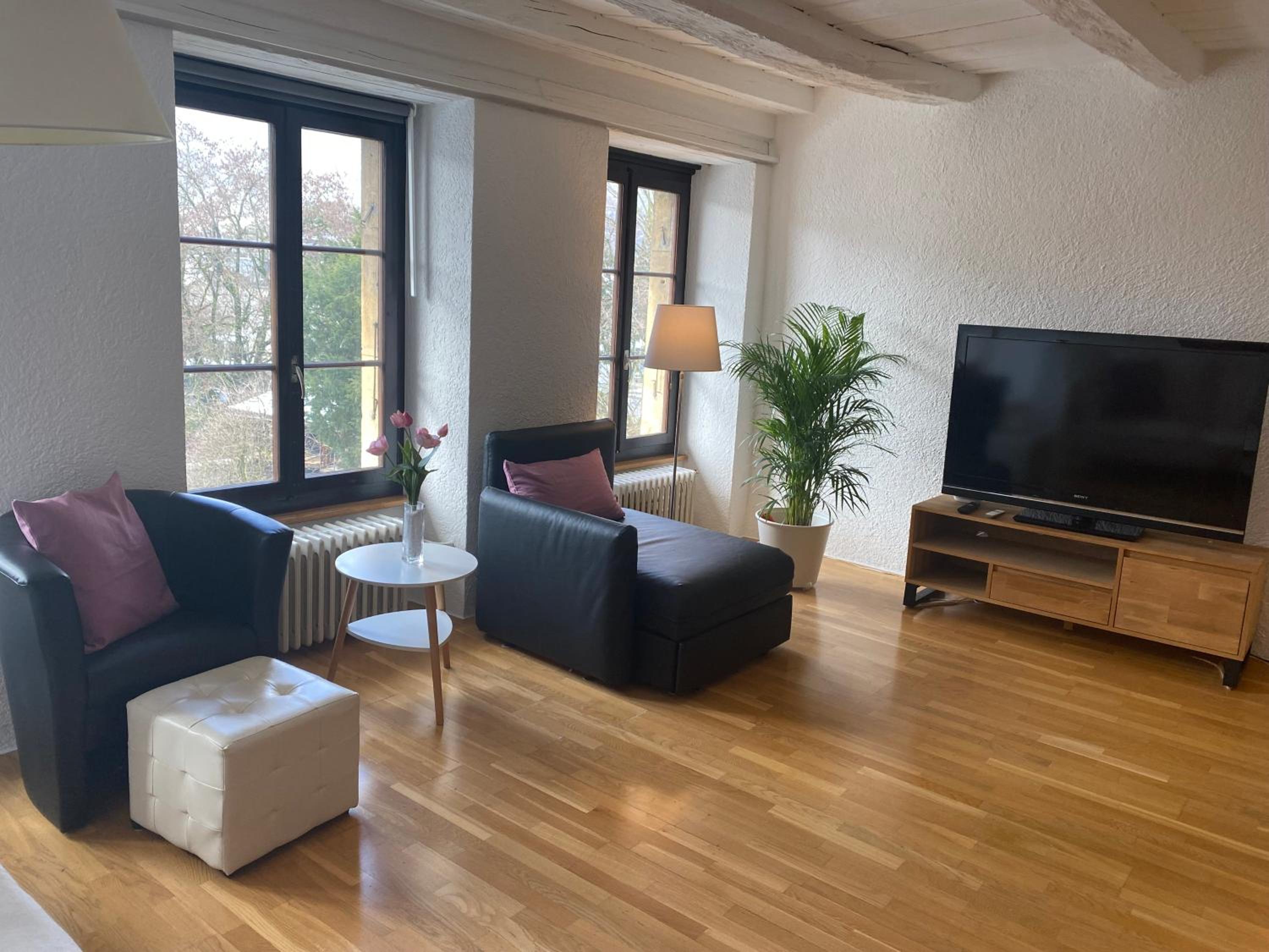 Joline private guest apartement Studio 45m2 view 4