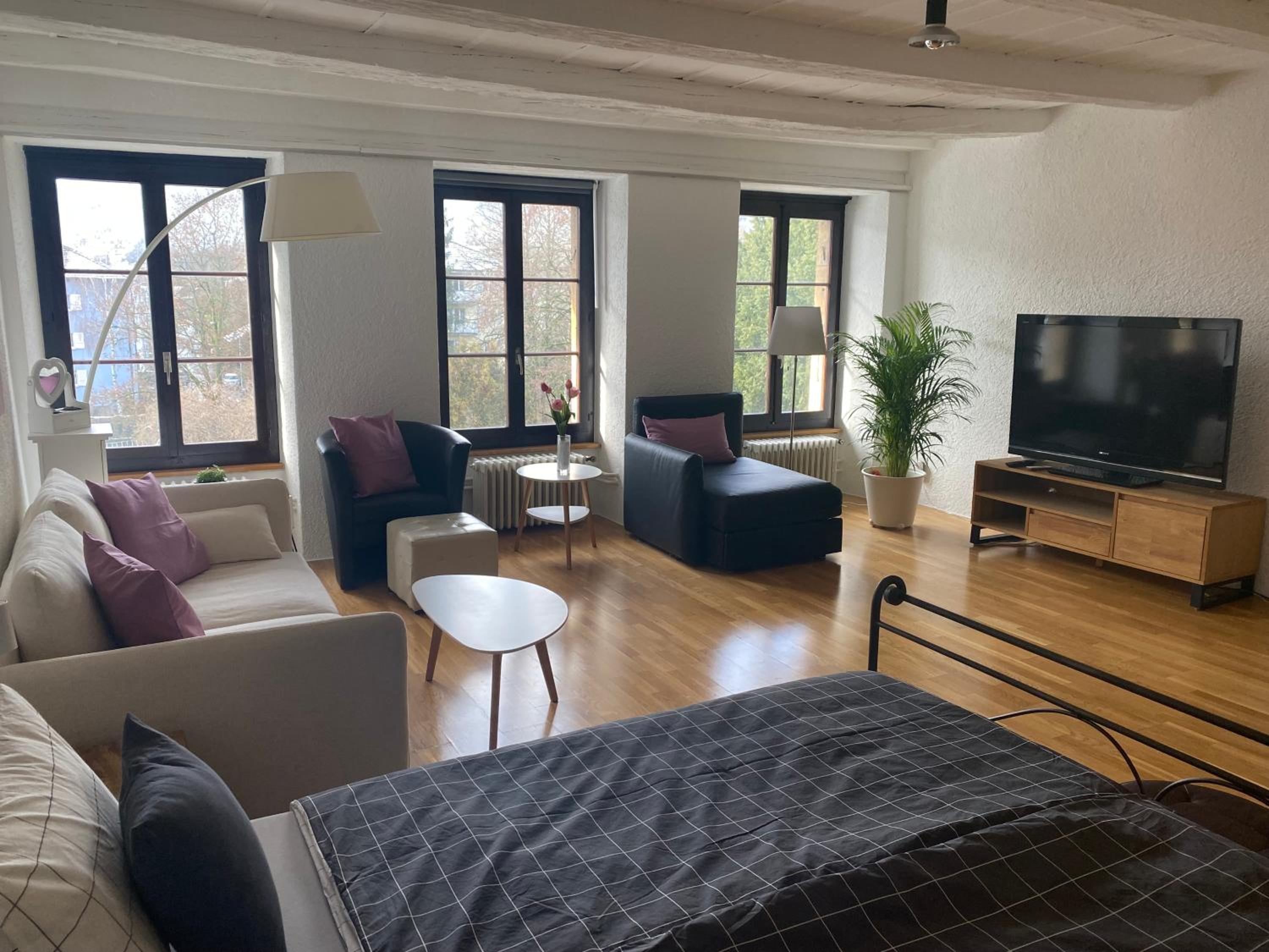 Joline private guest apartement Studio 45m2 view 5