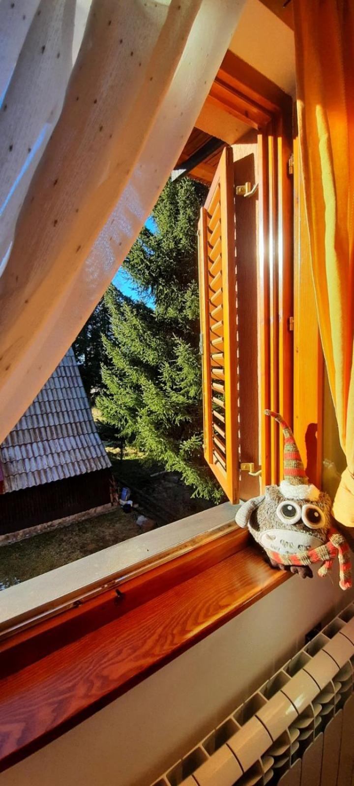 Apartmani Nikolic view 2