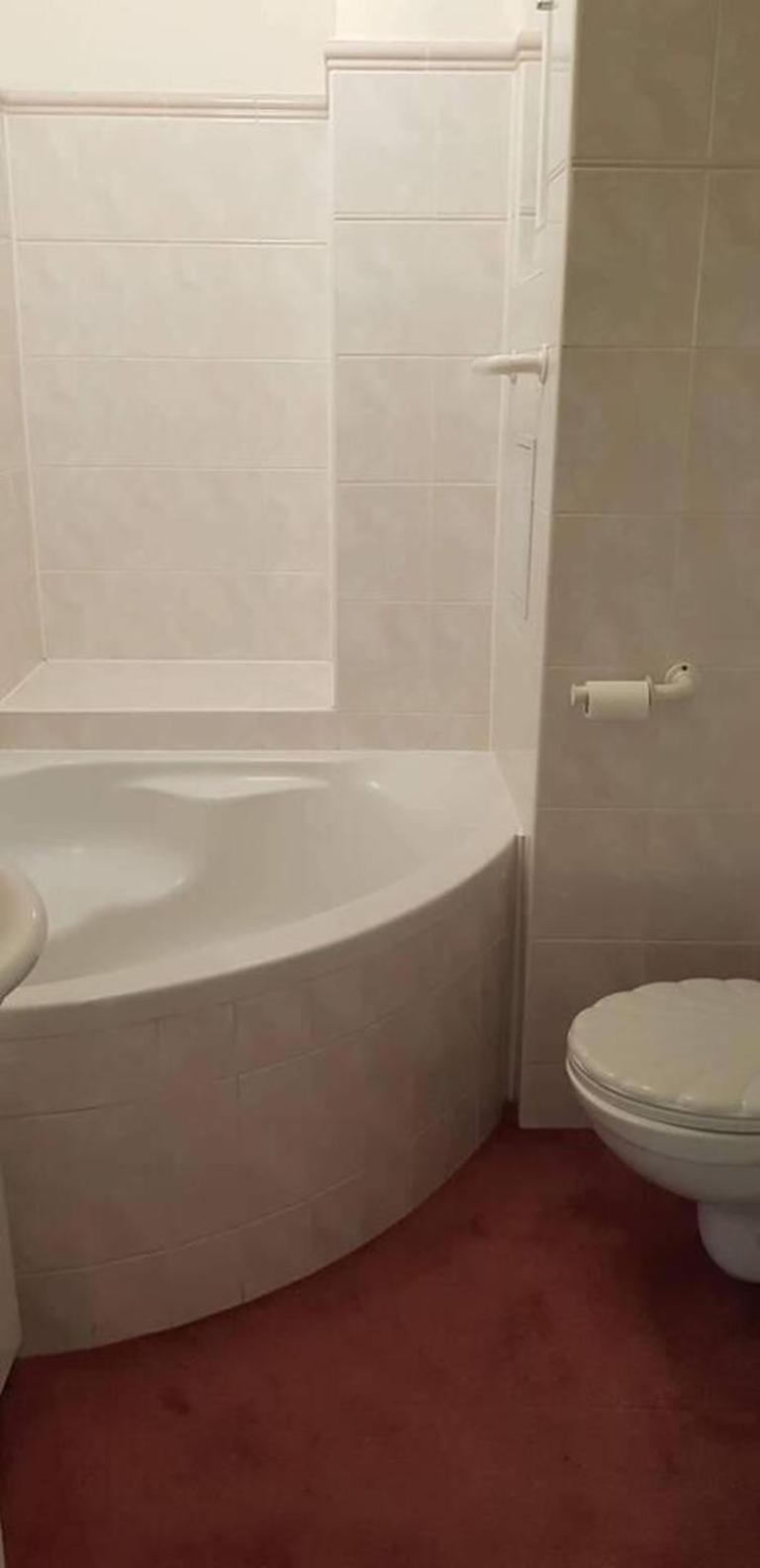 Lovely Apartment in Centre Prague 1