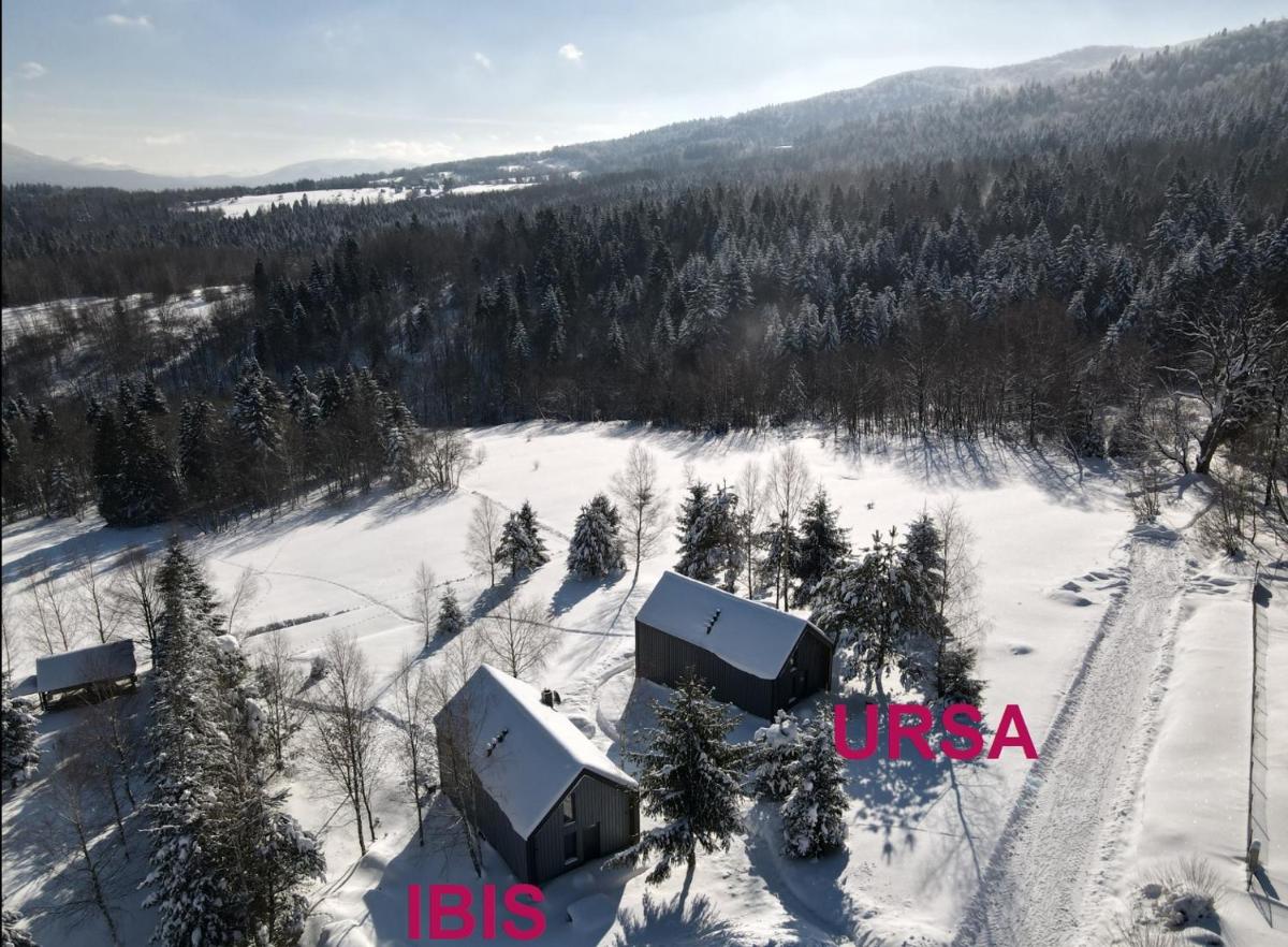 3 WYMIARY view 4