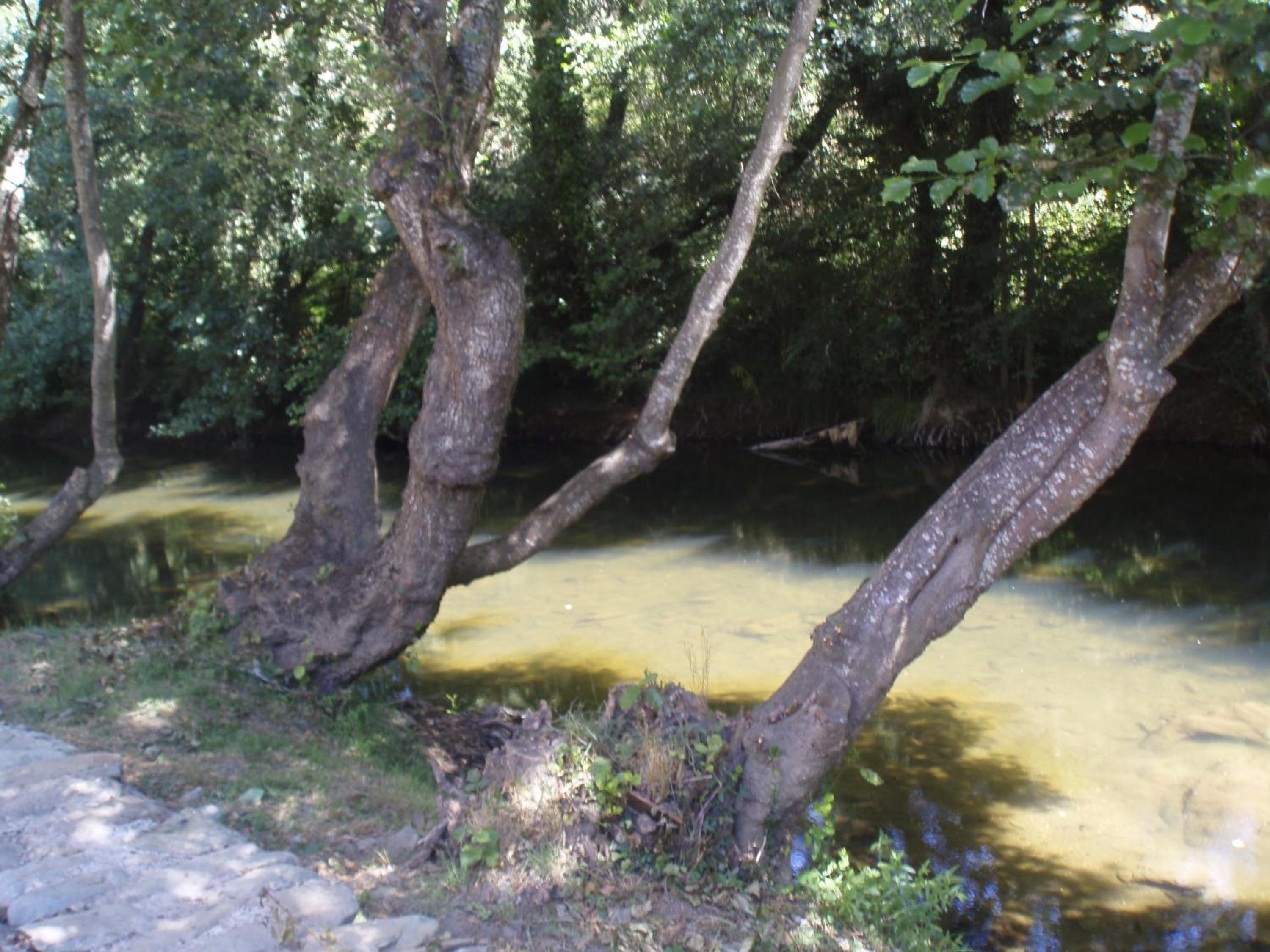 Photo 31