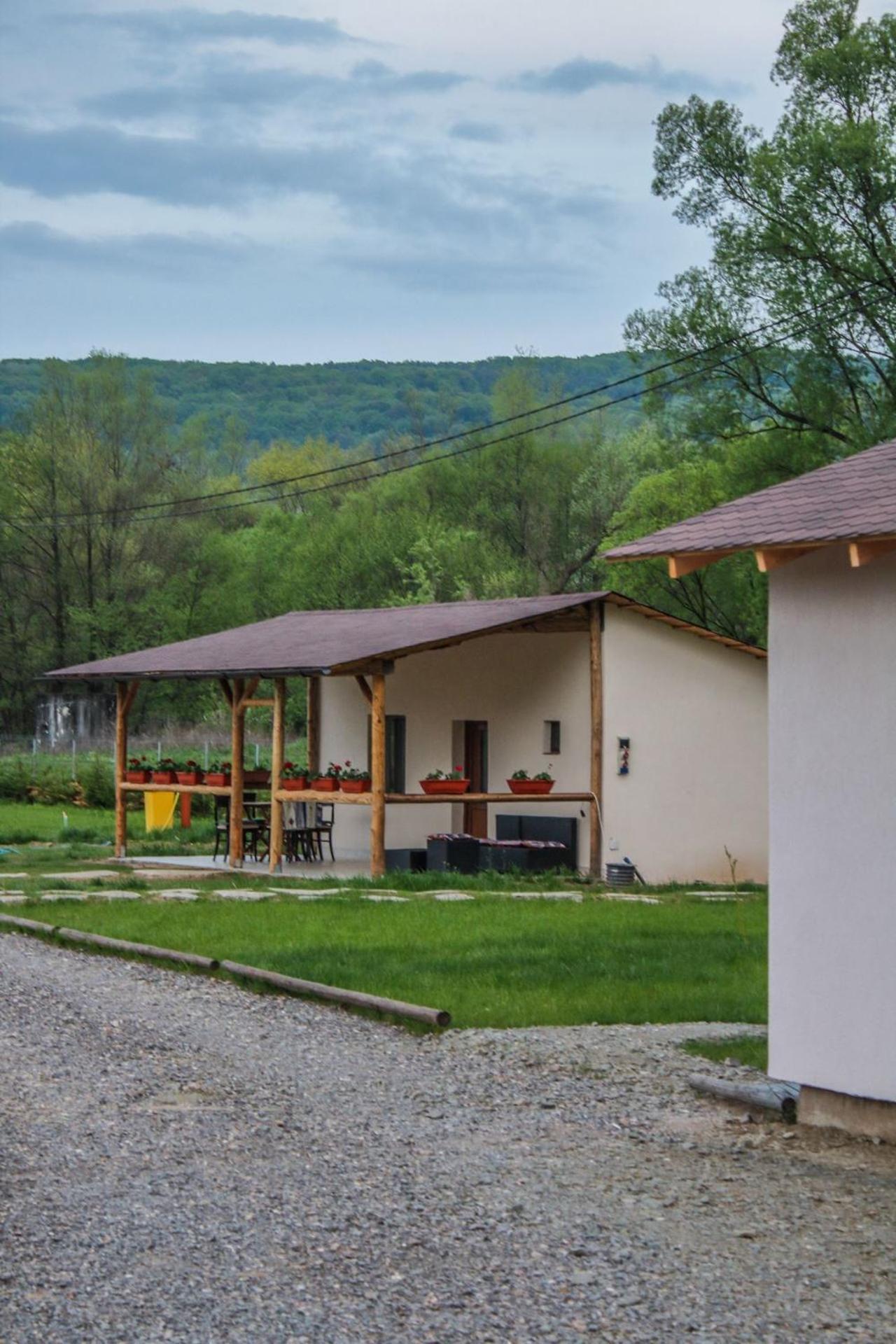Green Resort Suncuius