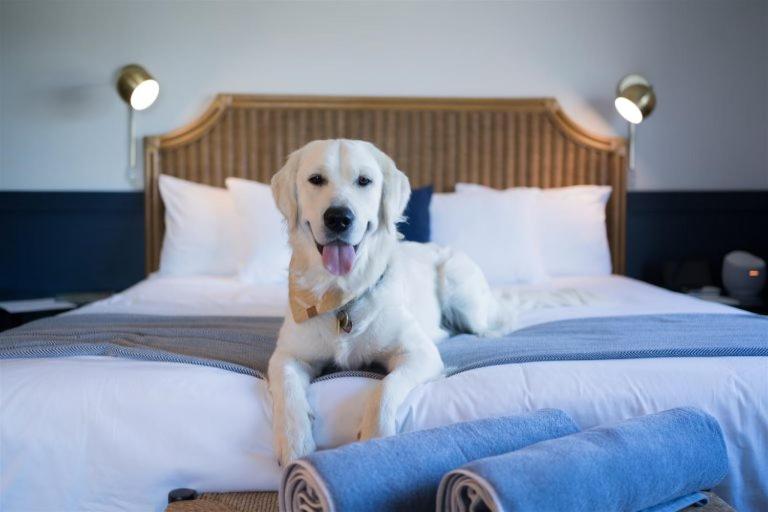 Wylder Hotel - Tilghman Island