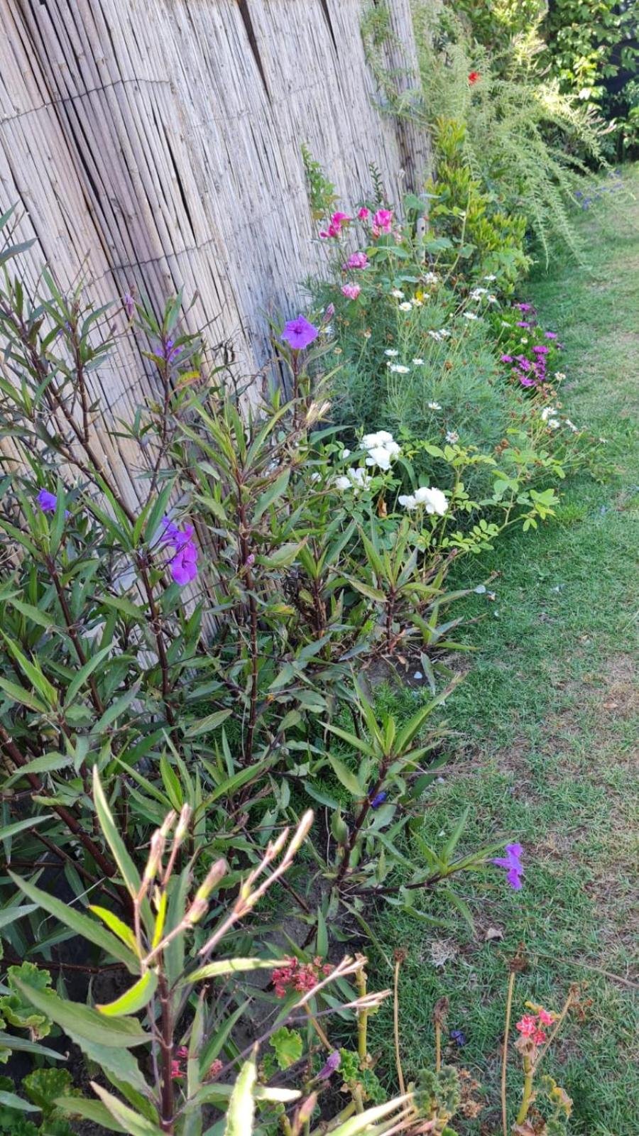Photo 72