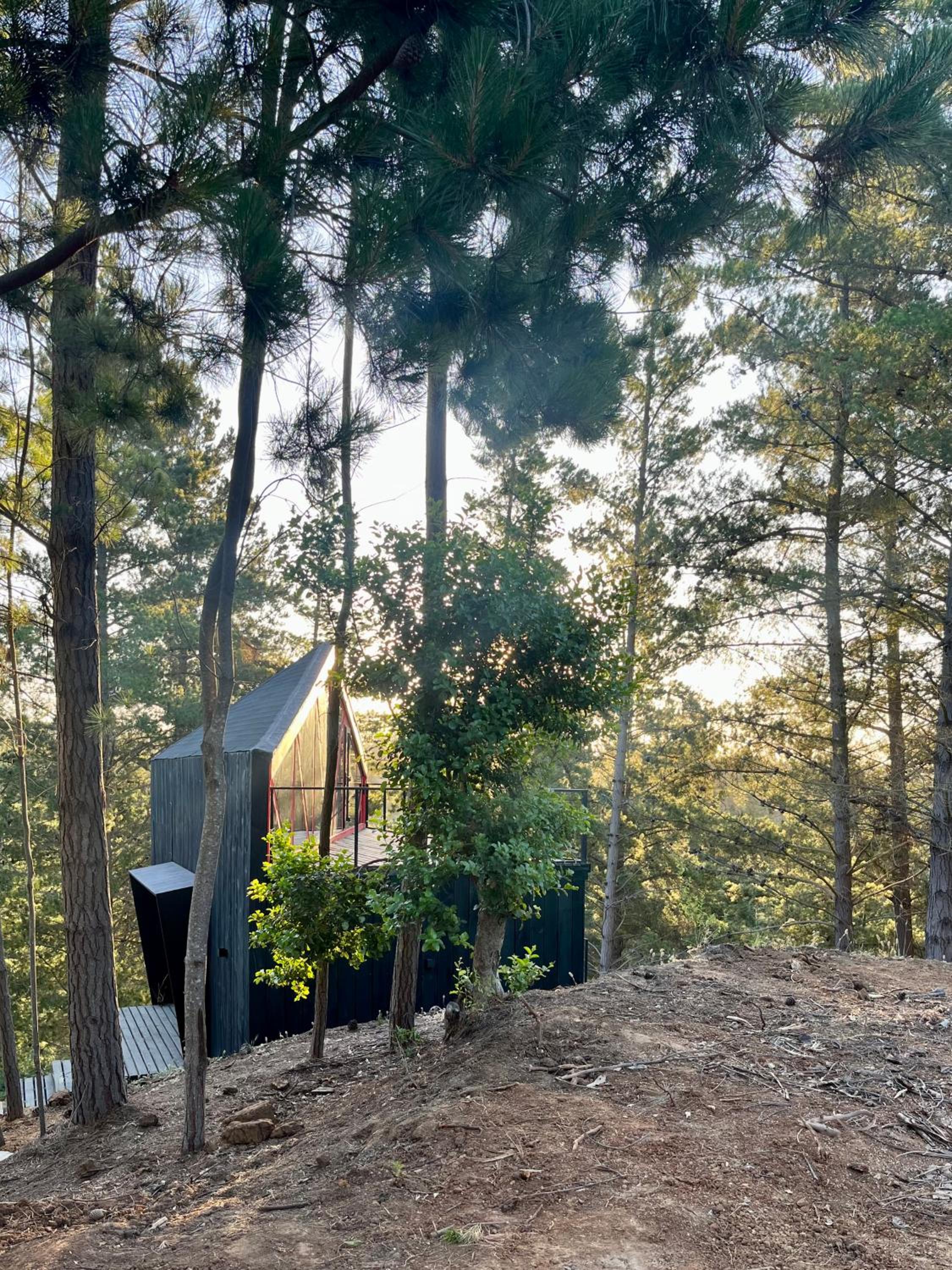 Quebrada Pupuya, una cabaña en medio del bosque