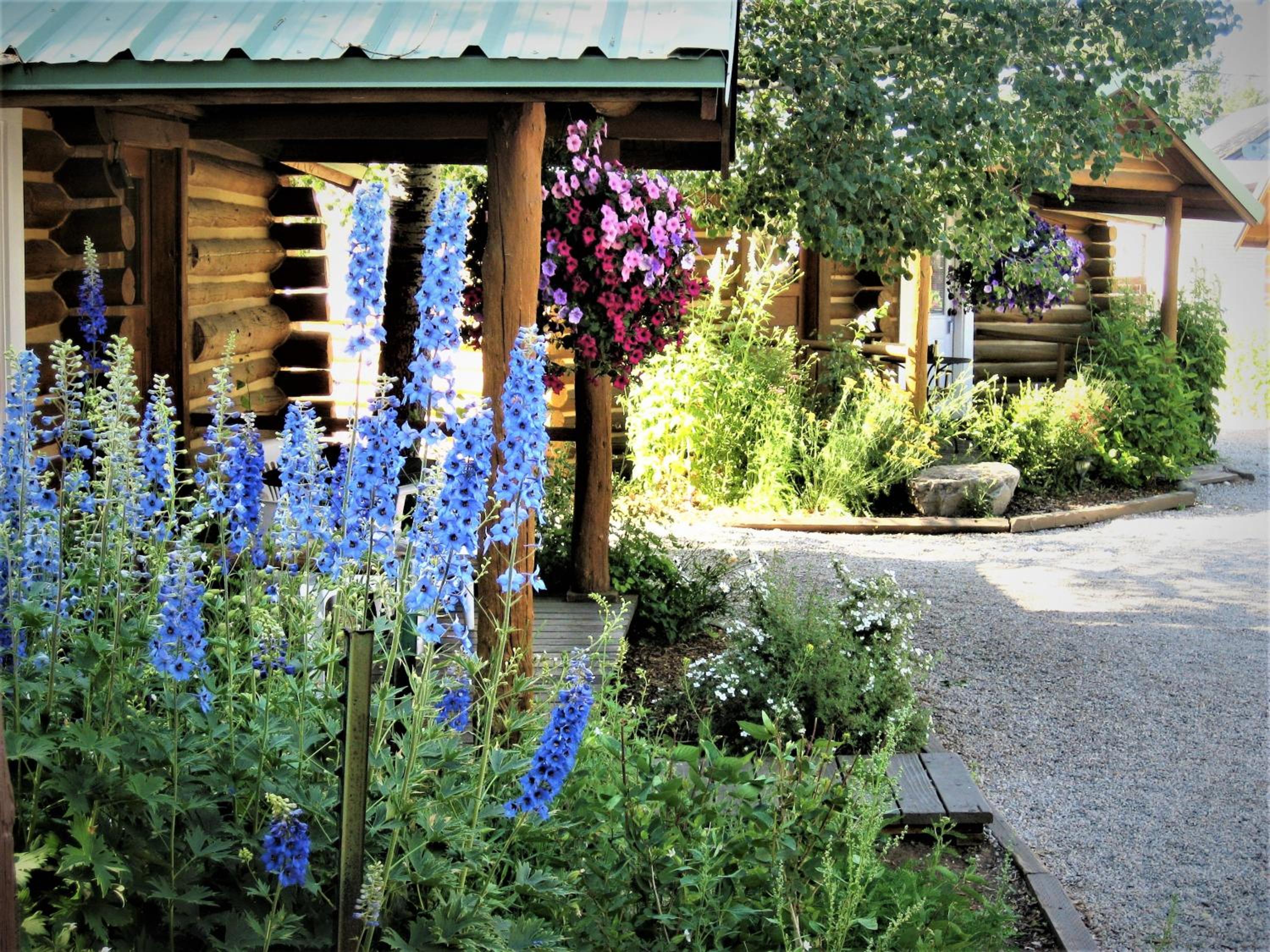 Log Cabin Motel