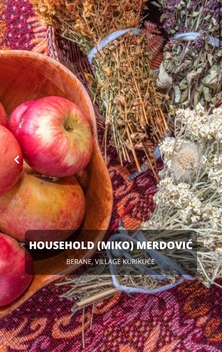 Seosko domaćinstvo Miko Merdović view 4