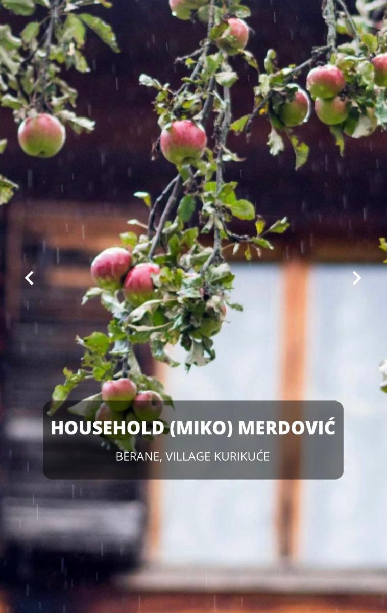 Seosko domaćinstvo Miko Merdović view 5