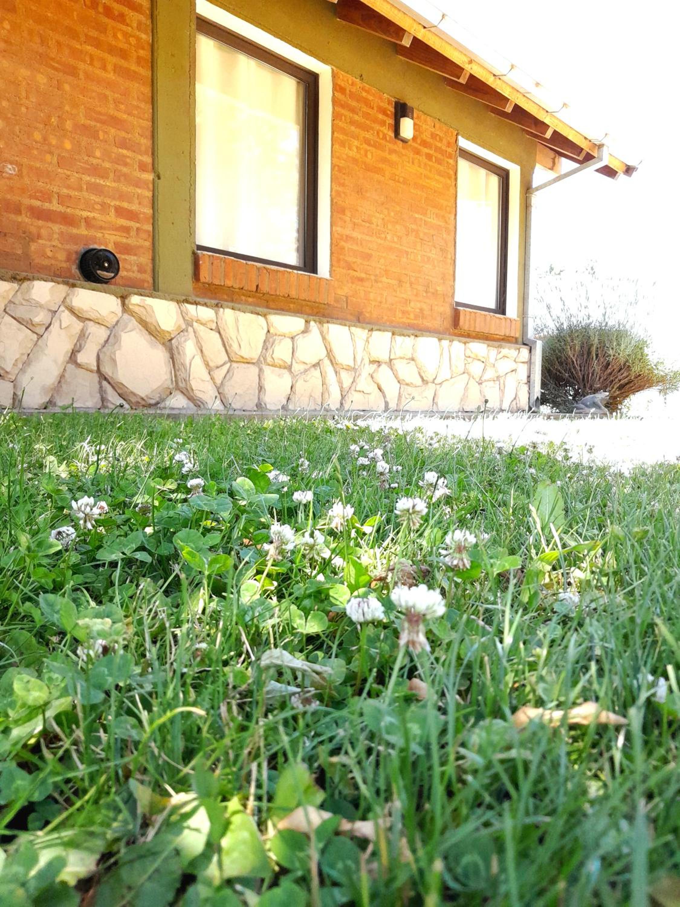 Escallonia House