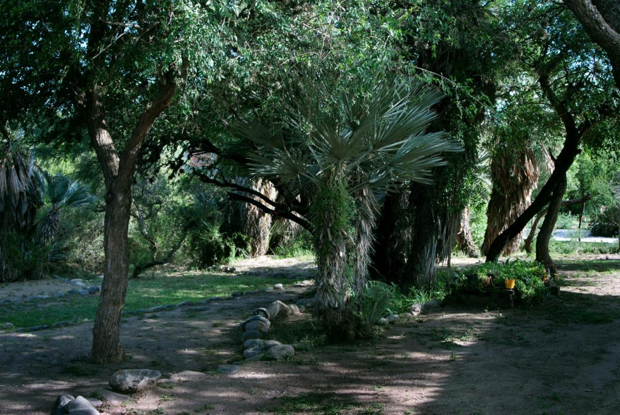 Cabanas en el Jardin Nativo