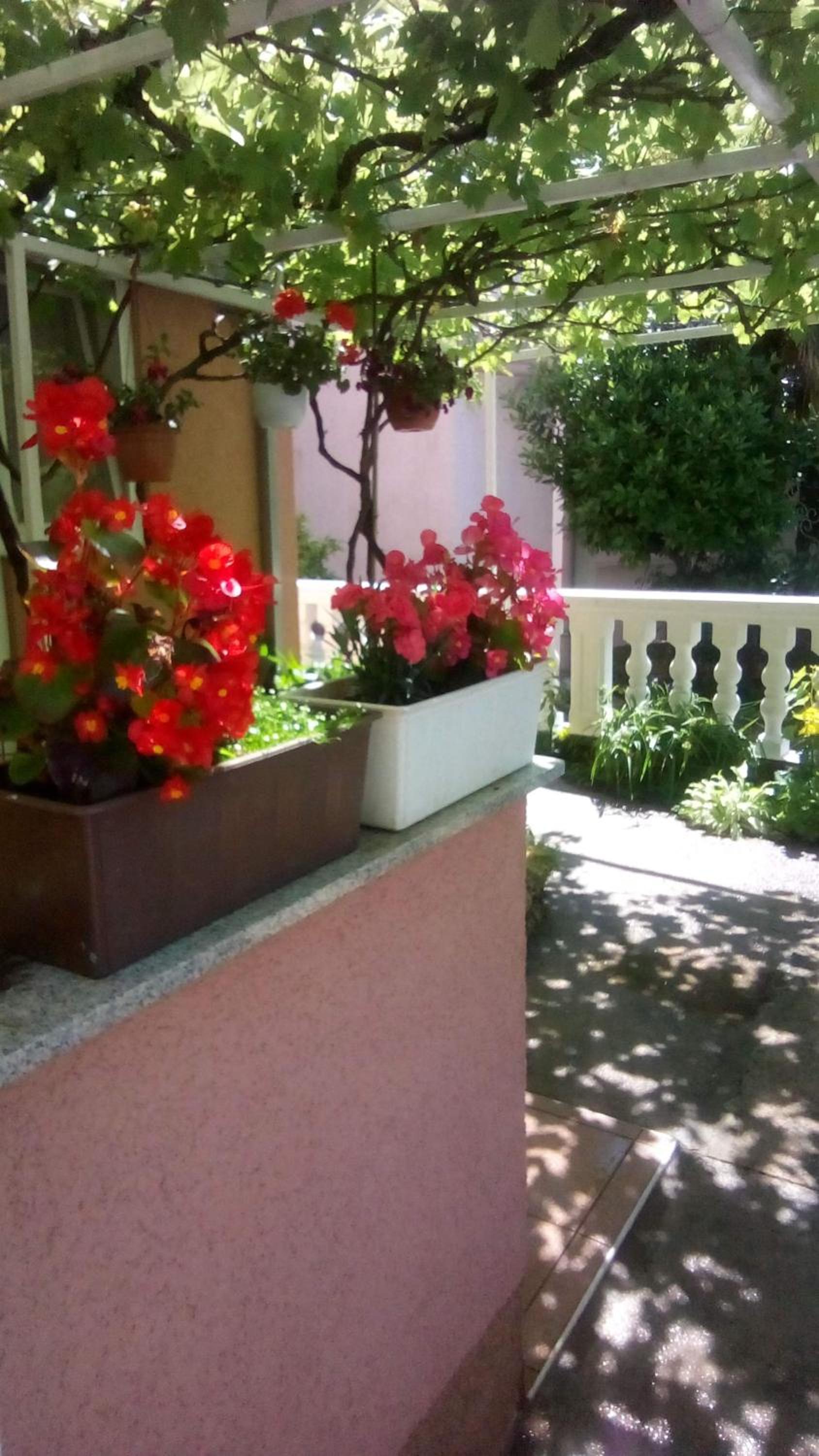 Apartman Tihana view 4