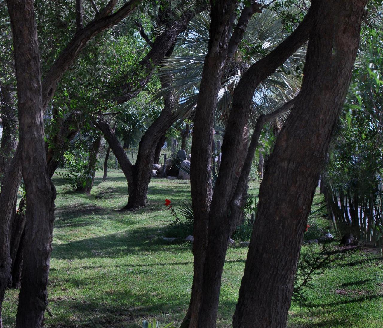 Cabanas en el Jardin Nativo