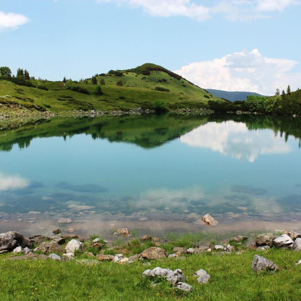 SEOSKO DOMAĆINSTVO MERDOVIĆ - KURIKUĆE photo 4