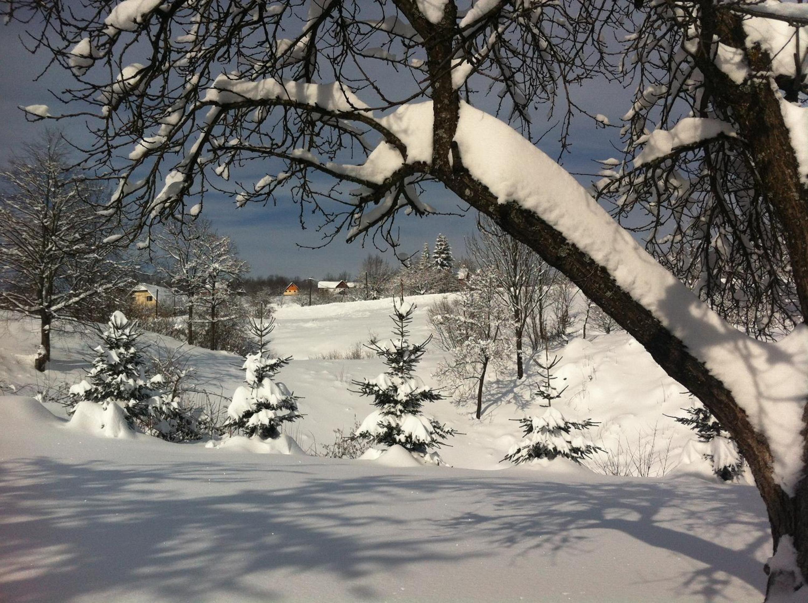 Photo 37
