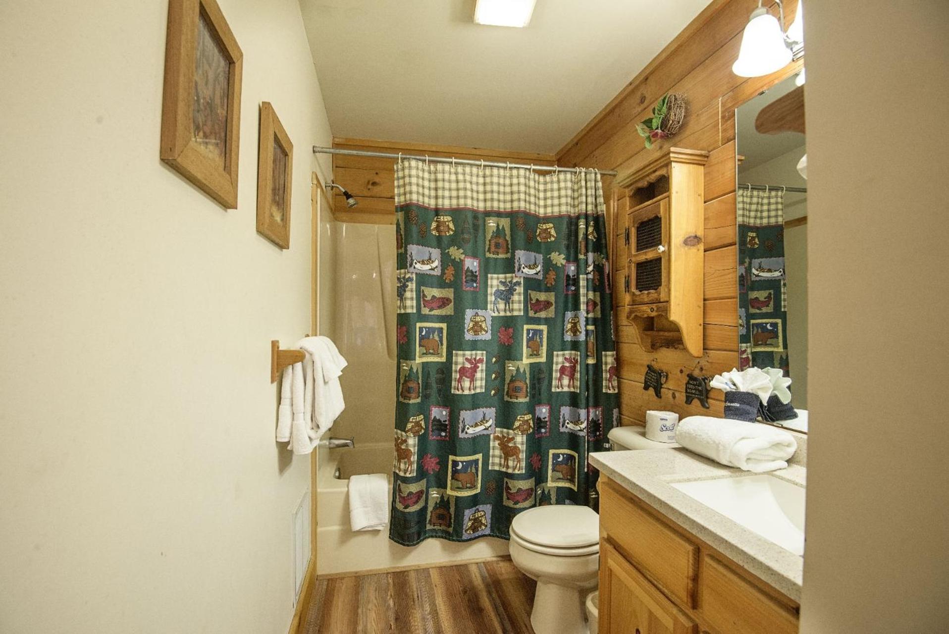 Photo 11