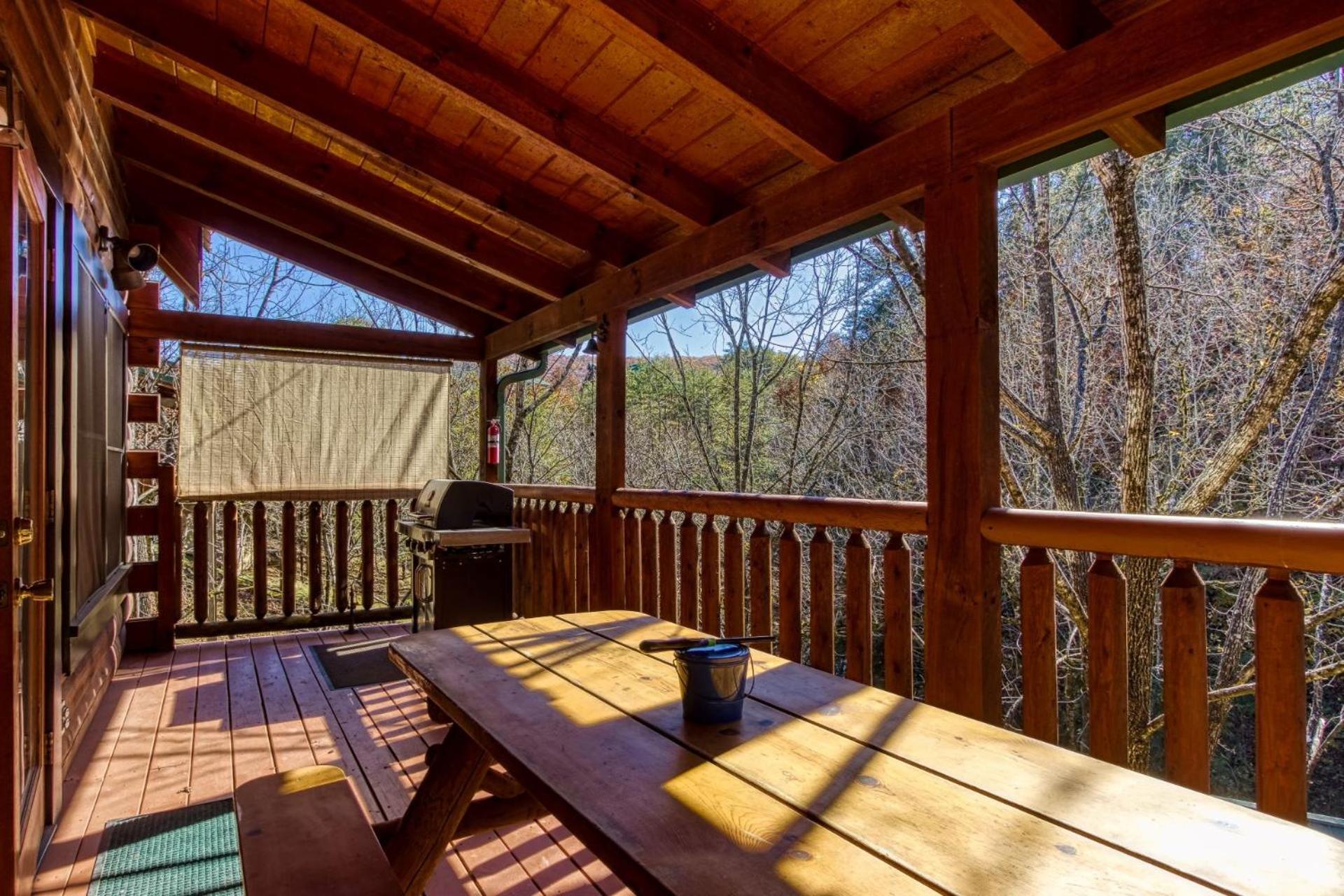 ERN832 - Lakeside Hideaway - Great Location! Close To All The Action! cabin - Property Image 7