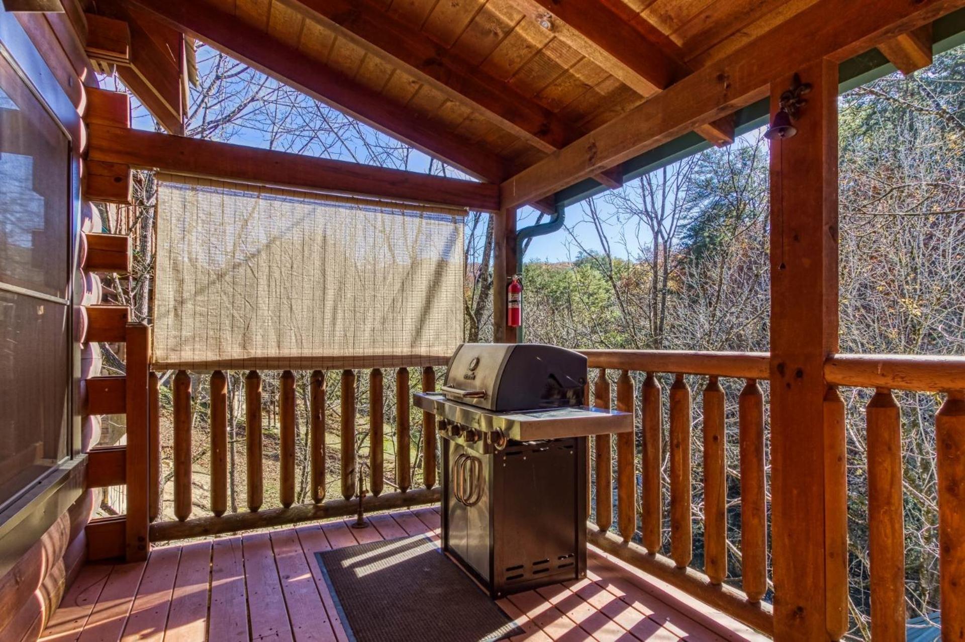 ERN832 - Lakeside Hideaway - Great Location! Close To All The Action! cabin - Property Image 8