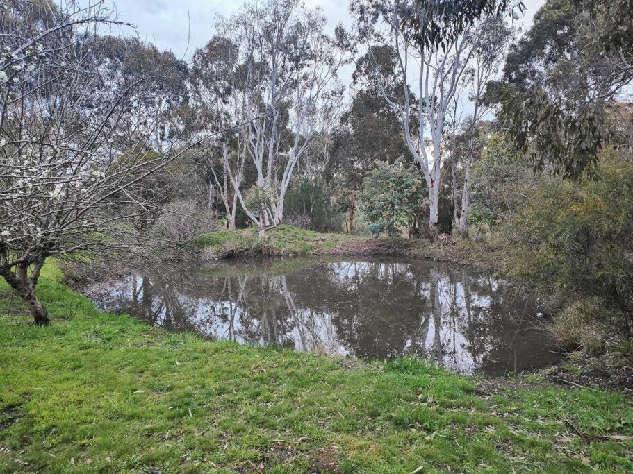 Dunkeld Secret Garden