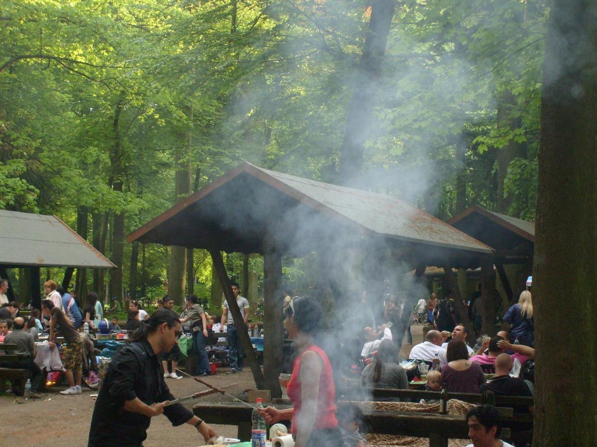 outdoor BBQ area