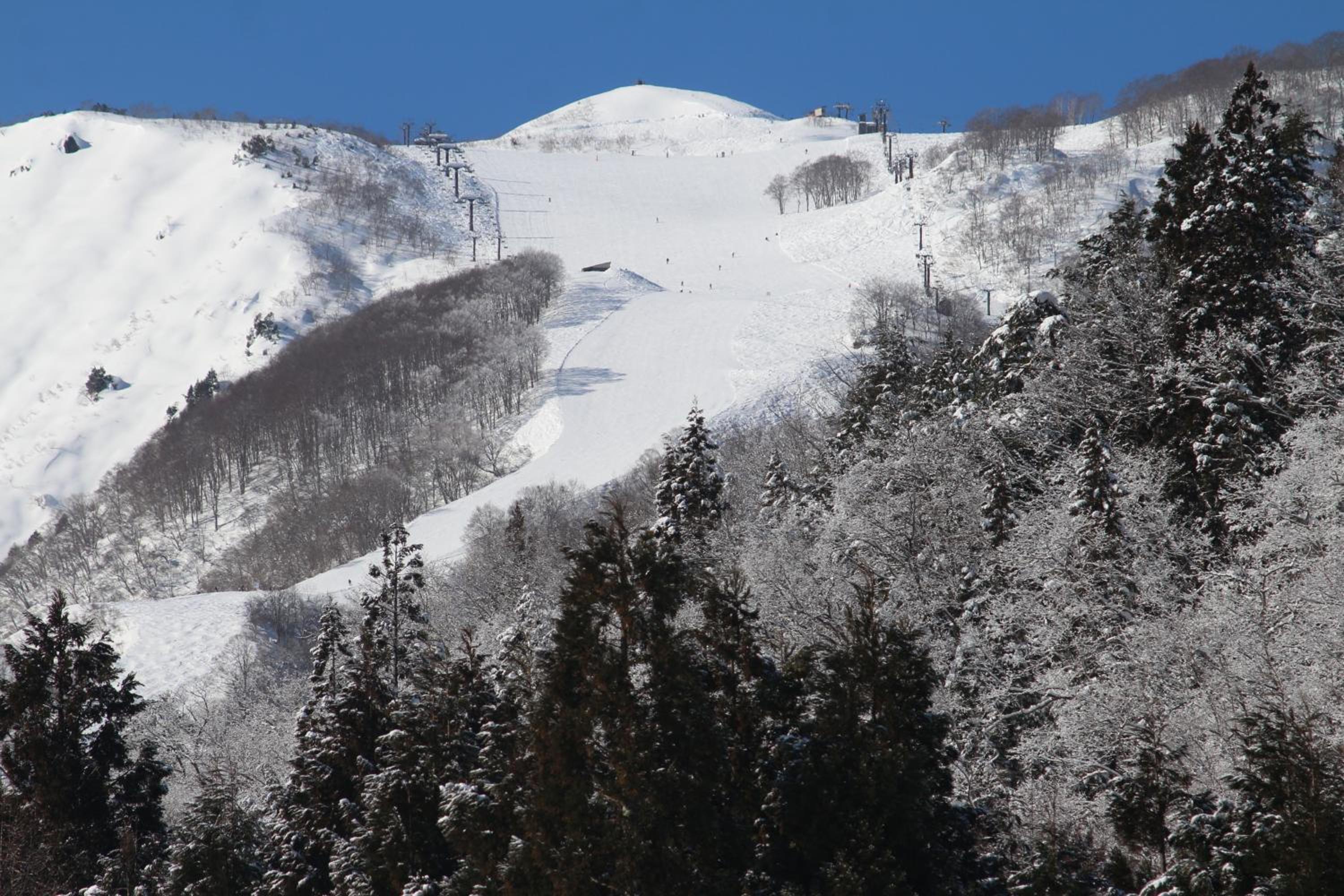 Santana Lodge Hakuba