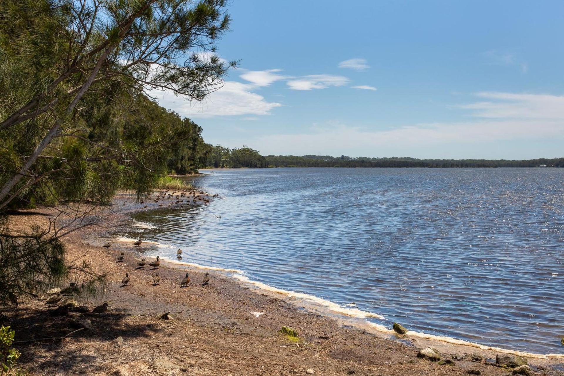 Sanctuary Blue Pet Friendly 5 Mins to Hyams Beach