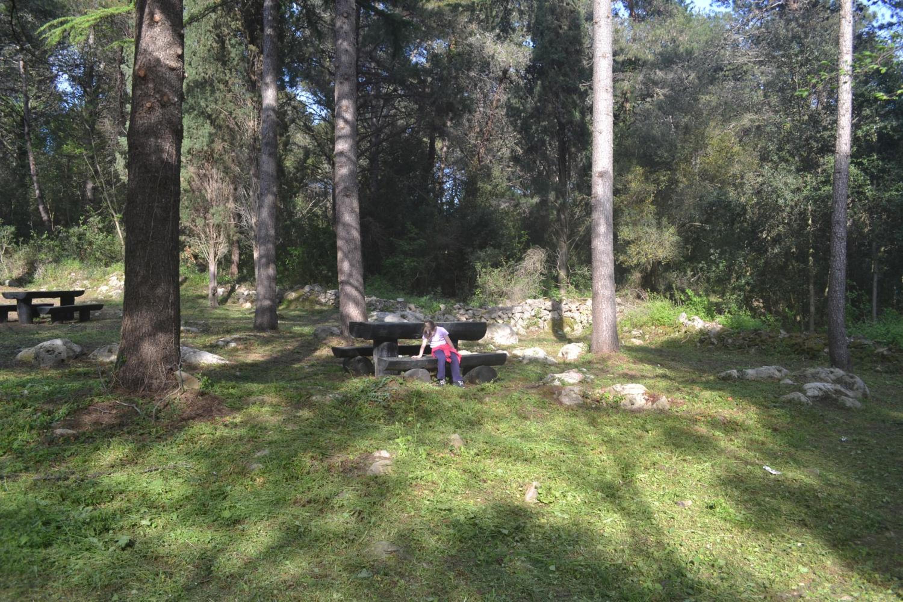Photo 32