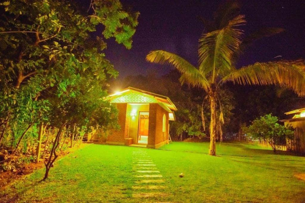 garden