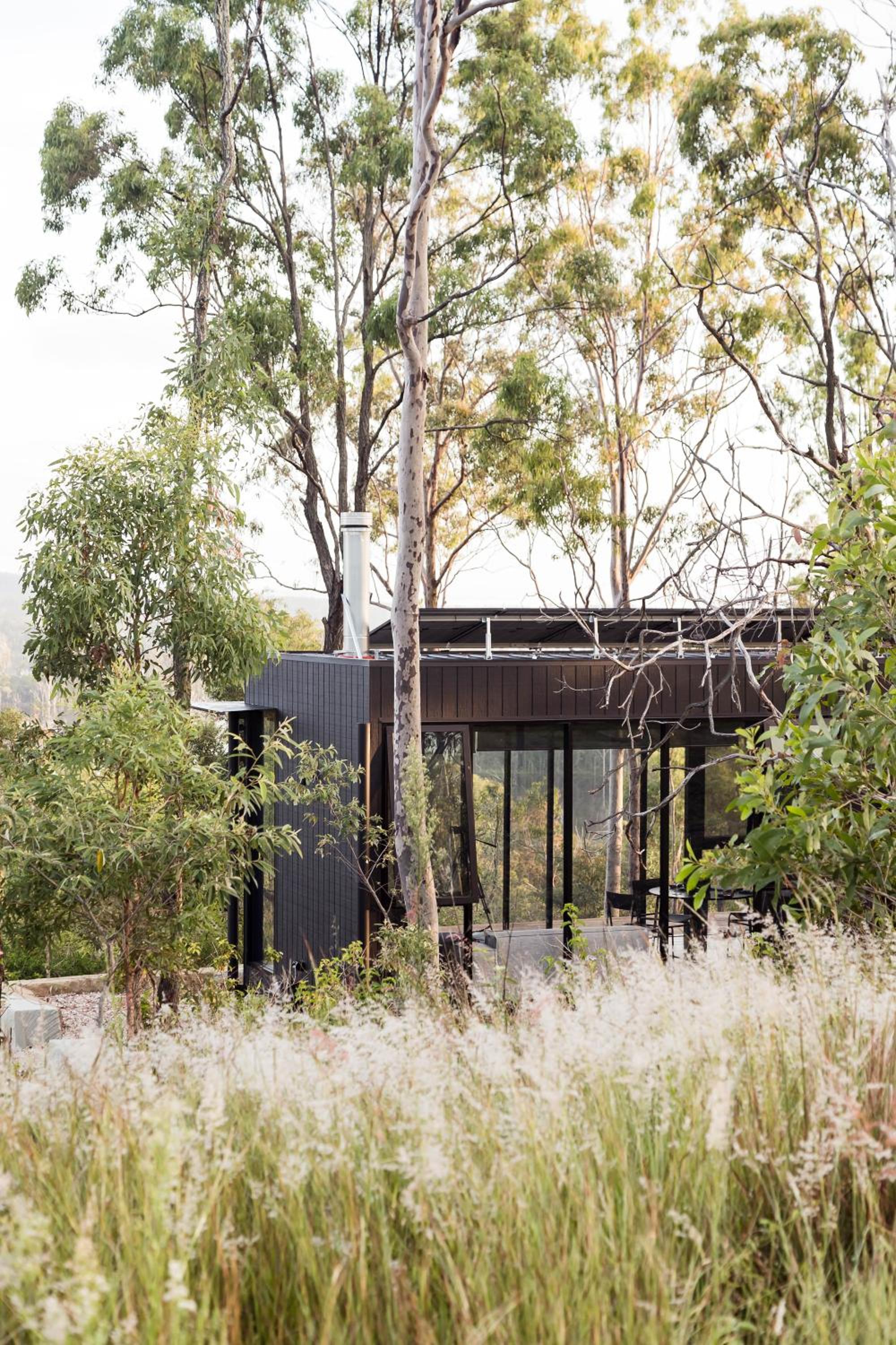 Wander in the Scenic Rim