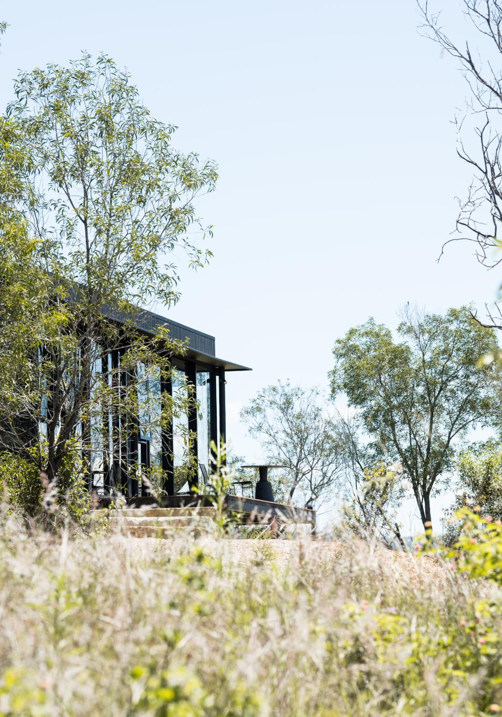 Wander in the Scenic Rim