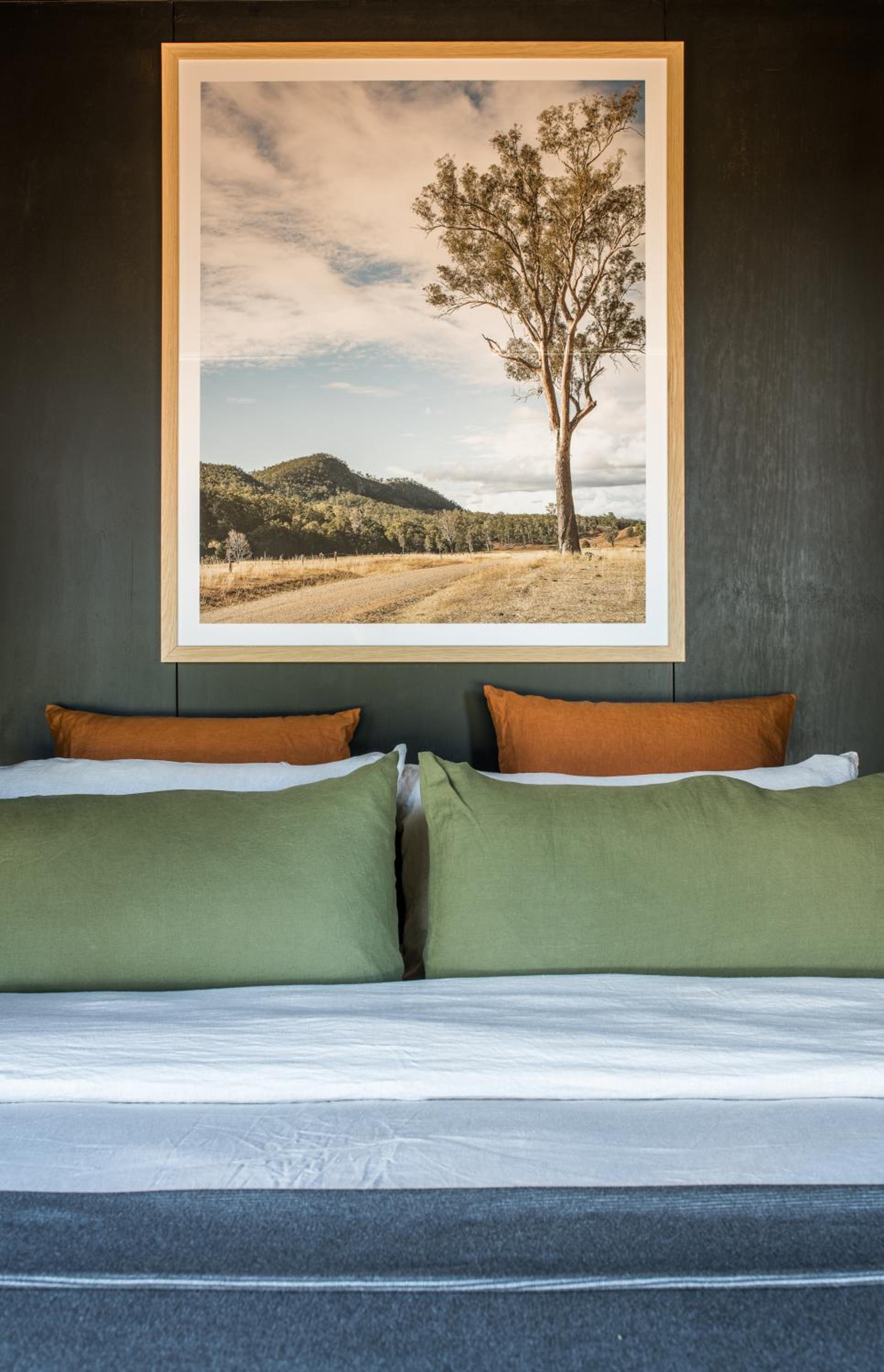 Wander in the Scenic Rim