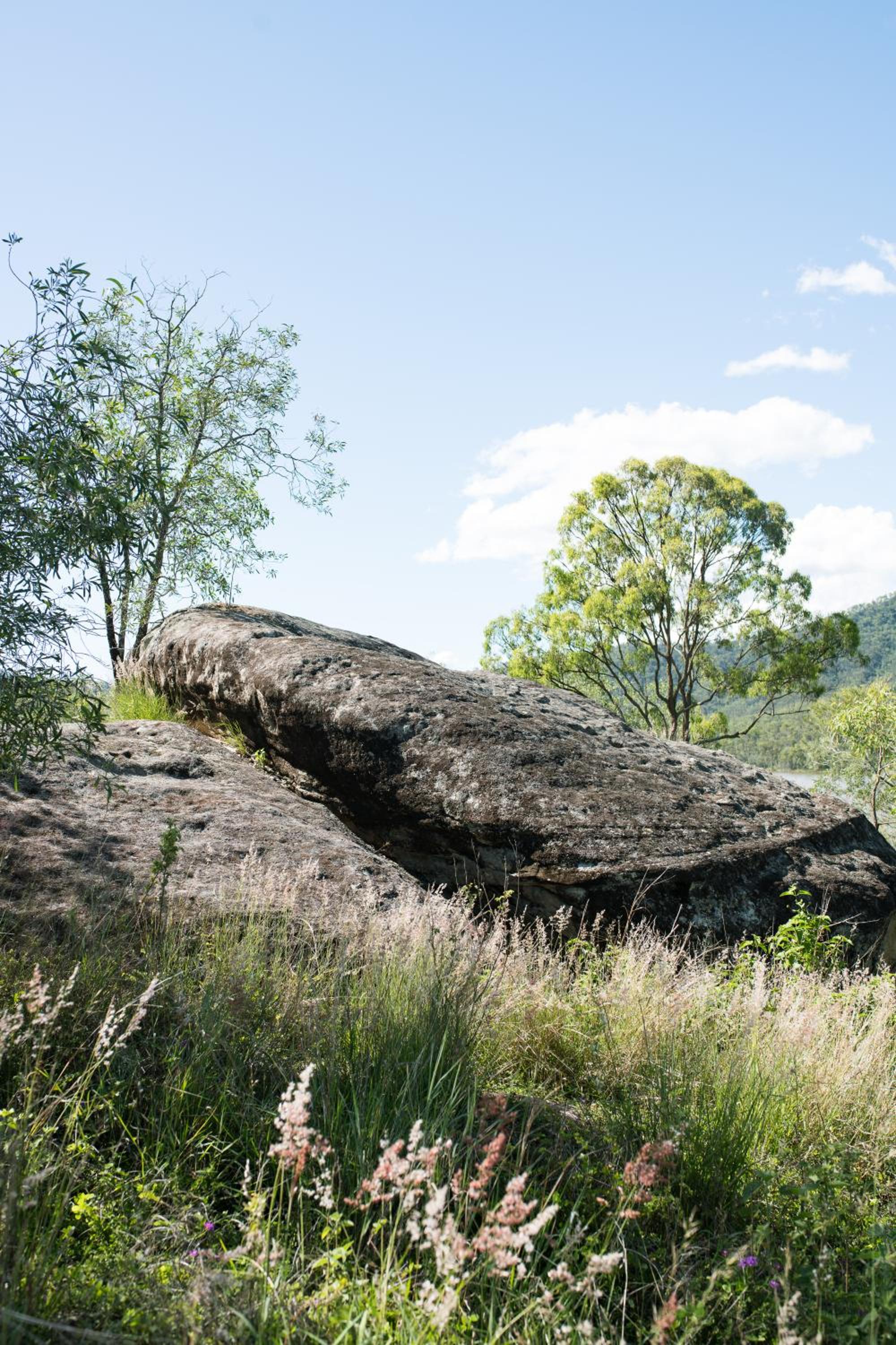 Wander in the Scenic Rim