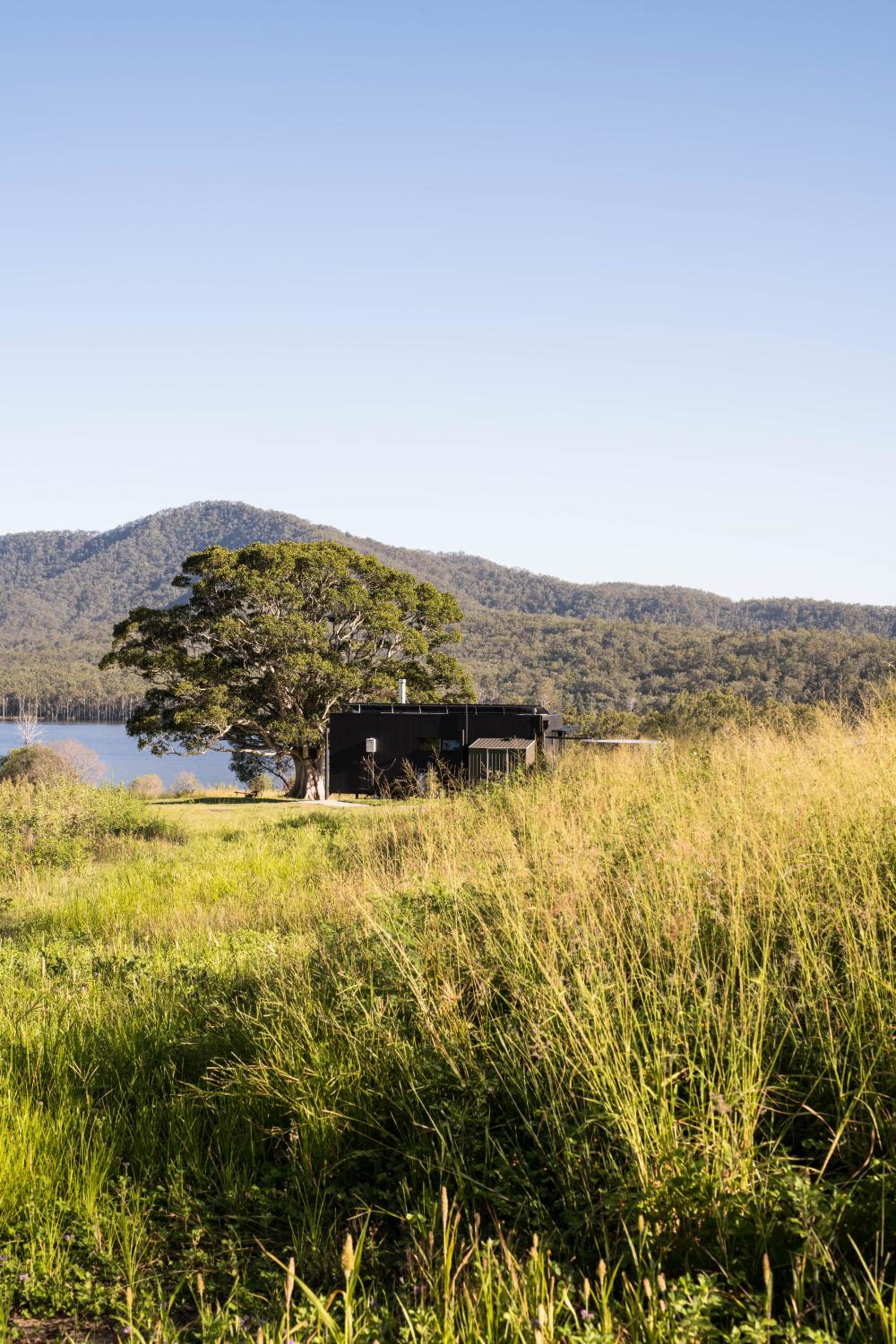 Wander in the Scenic Rim