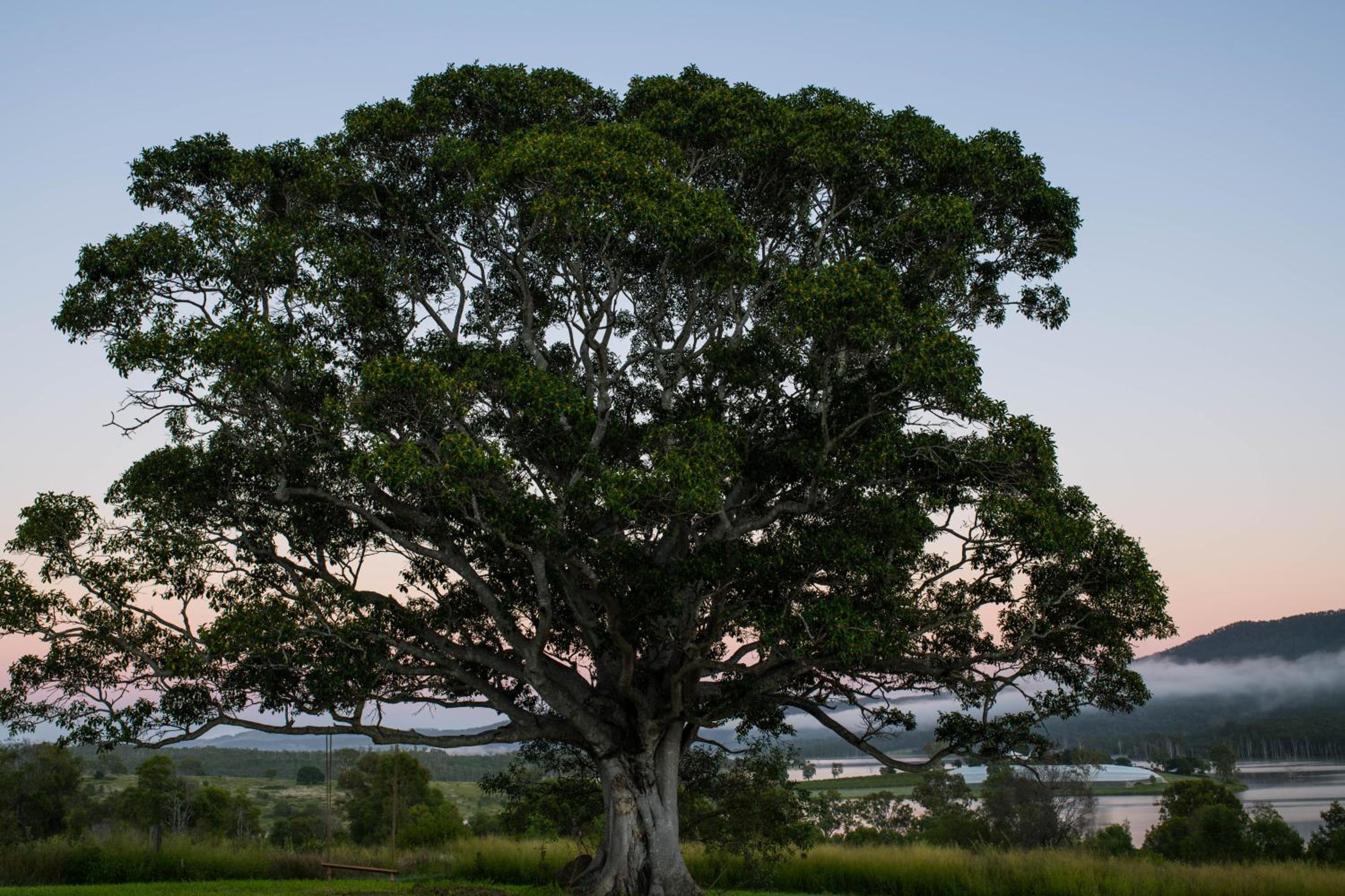 Wander in the Scenic Rim