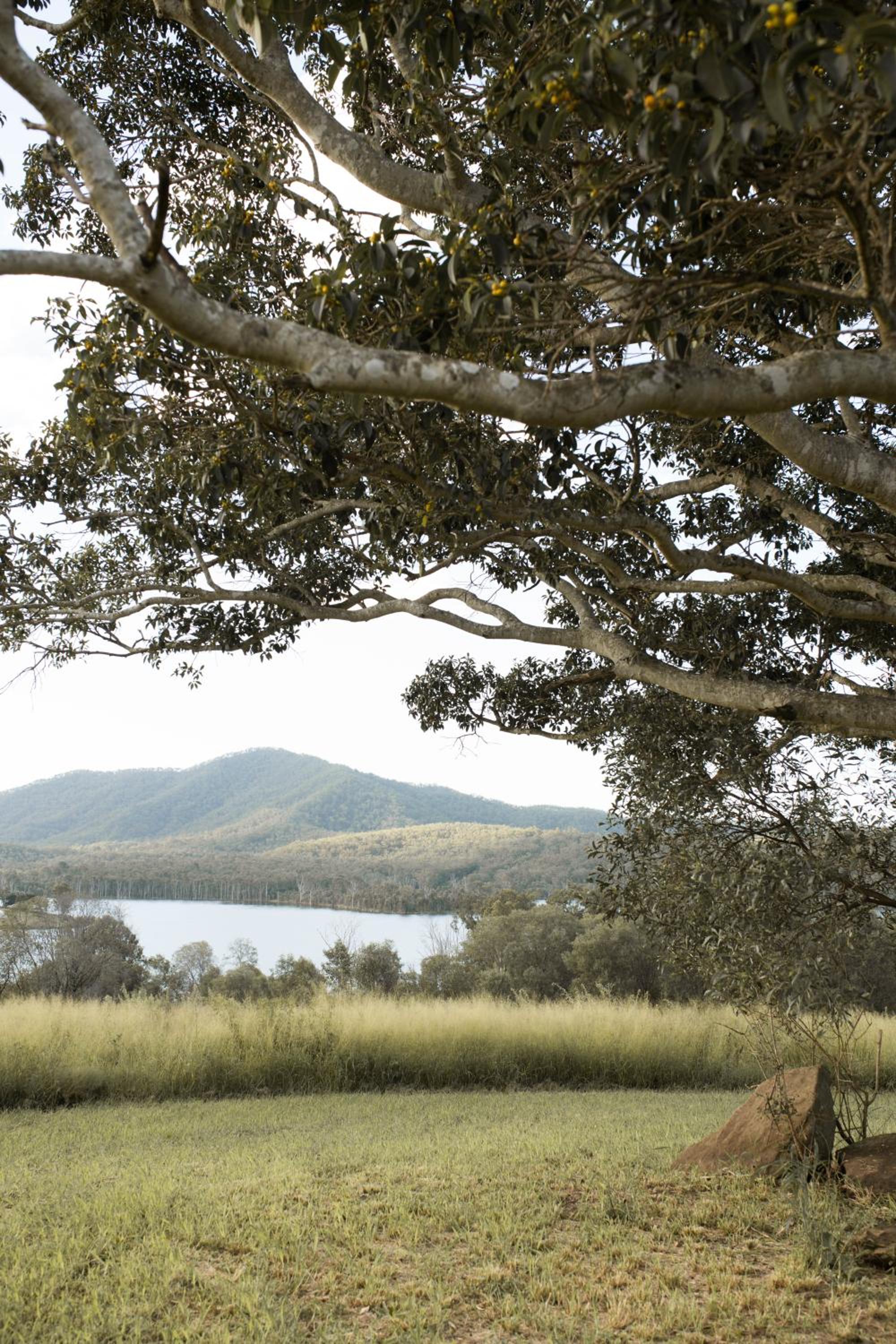 Wander in the Scenic Rim