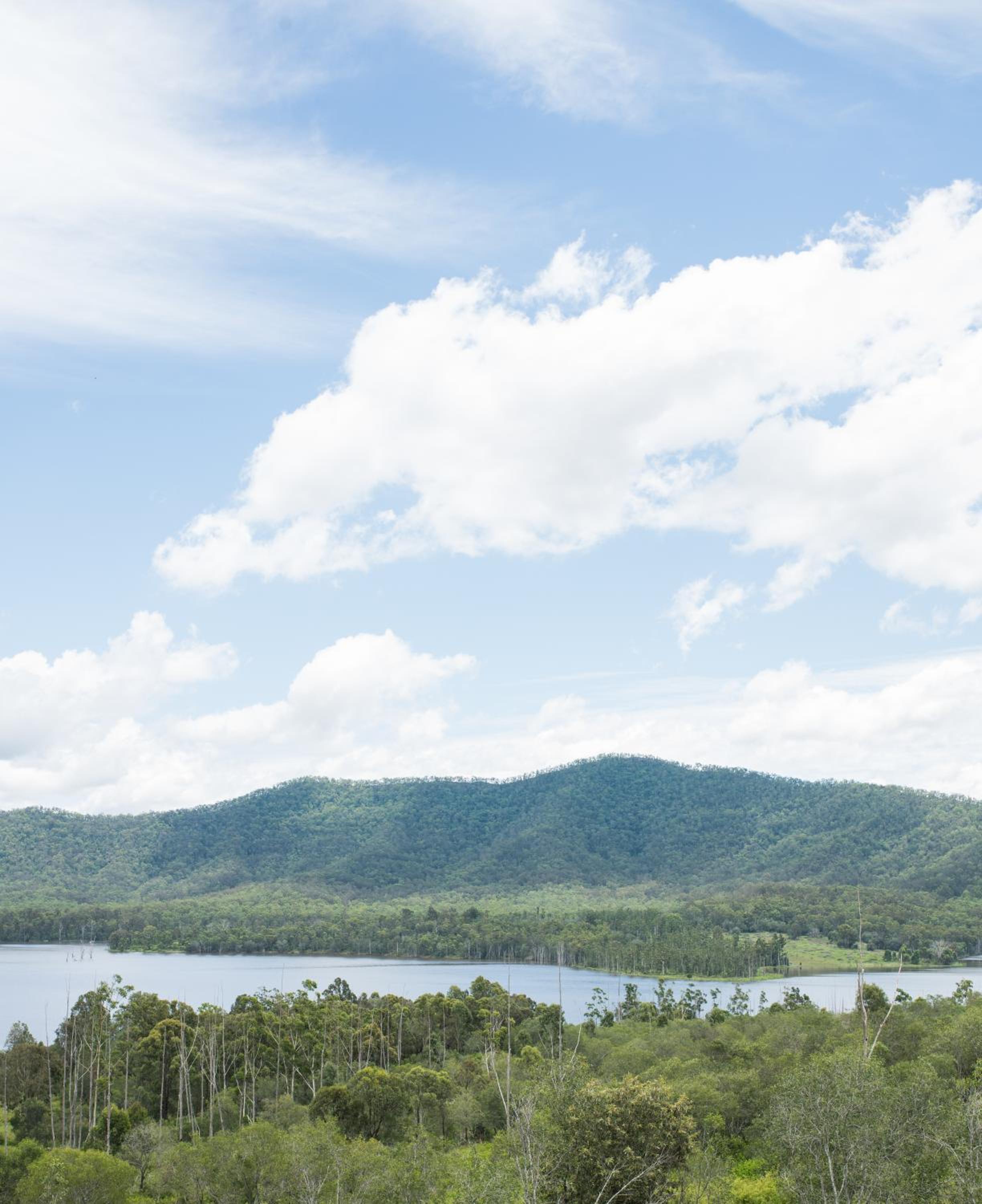 Wander in the Scenic Rim
