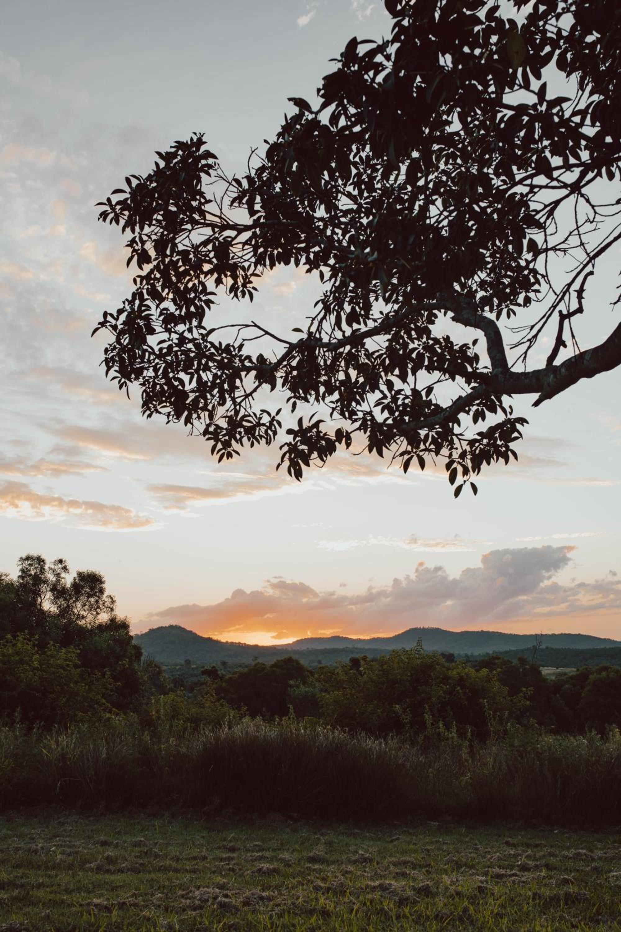 Wander in the Scenic Rim
