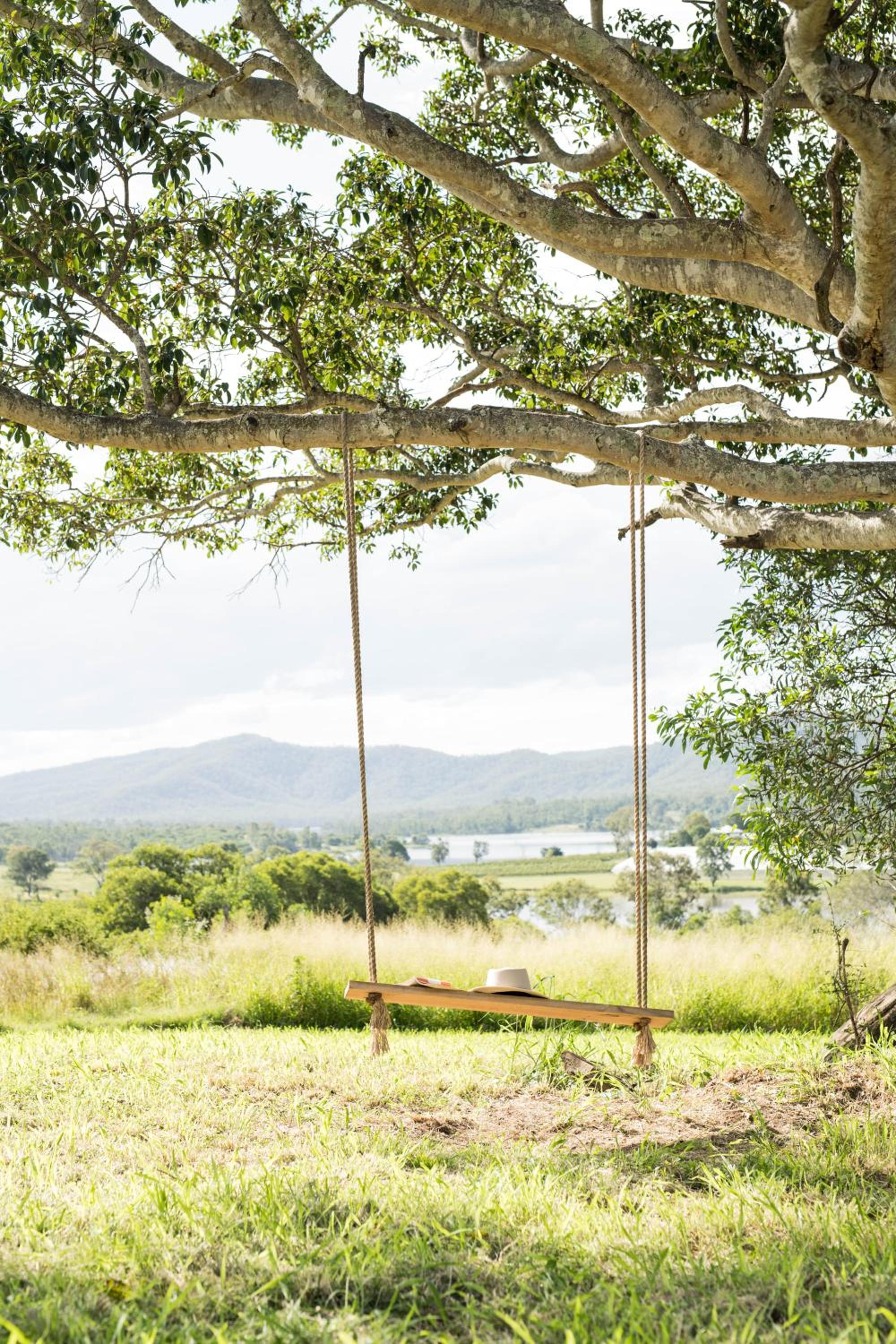 Wander in the Scenic Rim