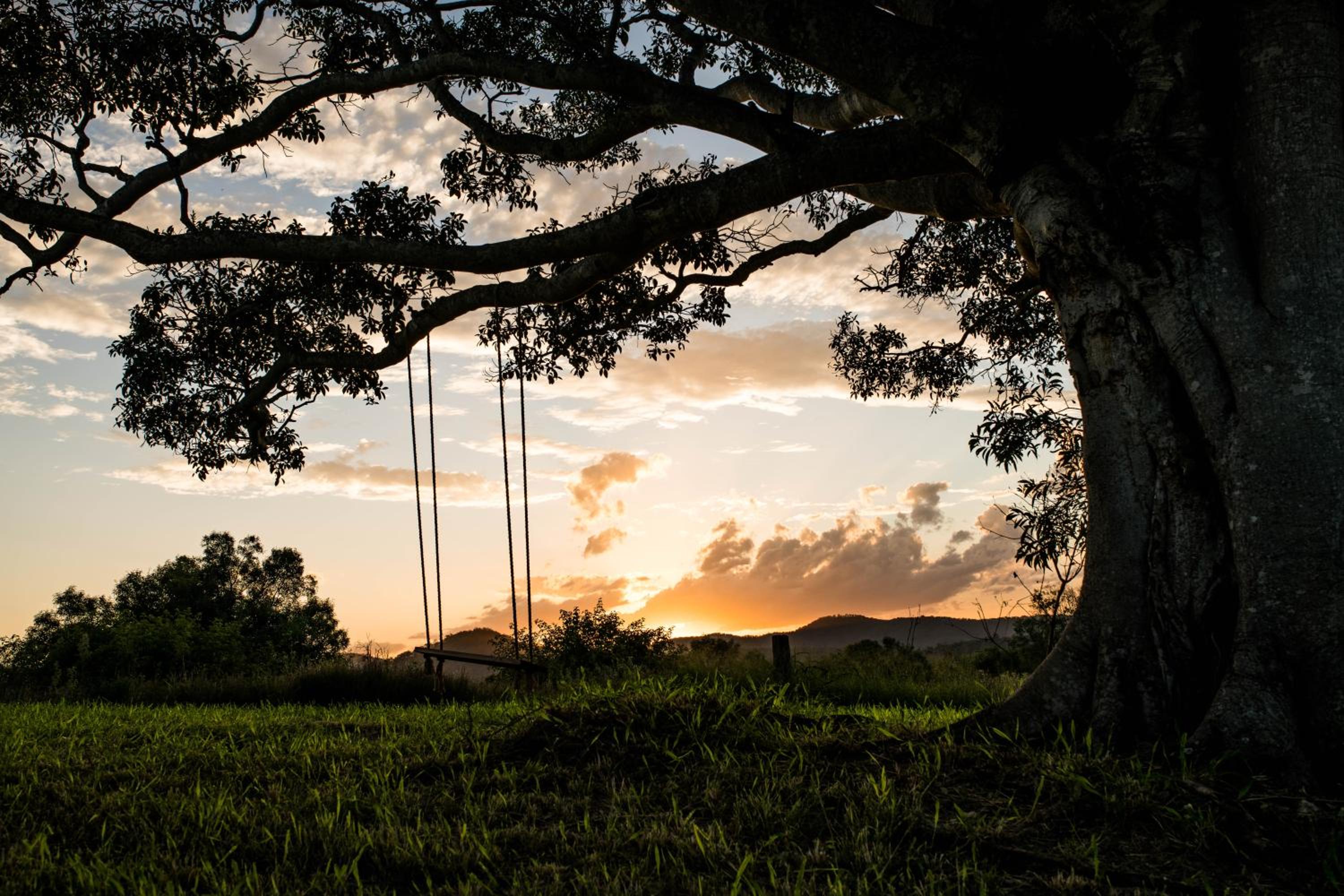 Wander in the Scenic Rim