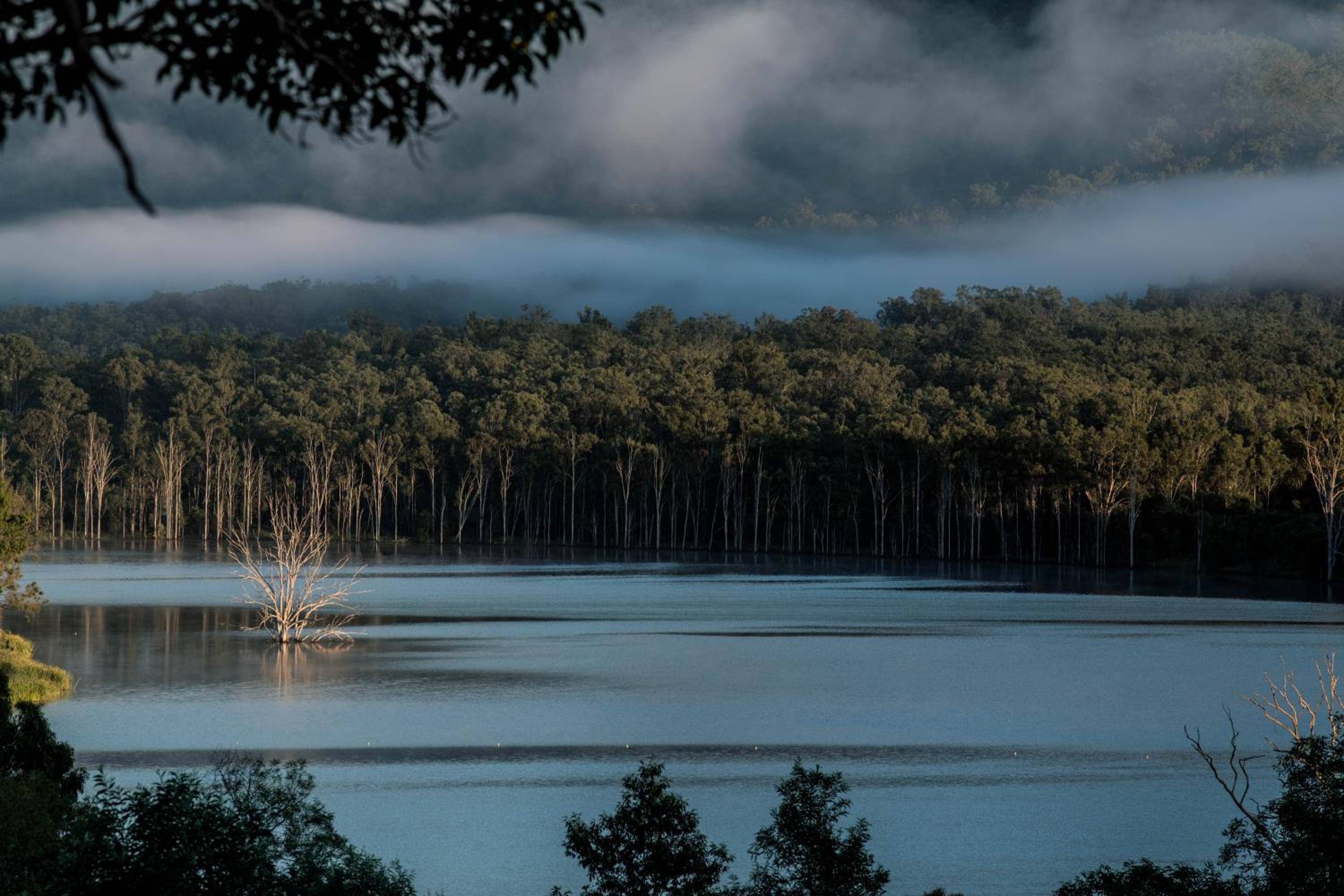 Wander in the Scenic Rim