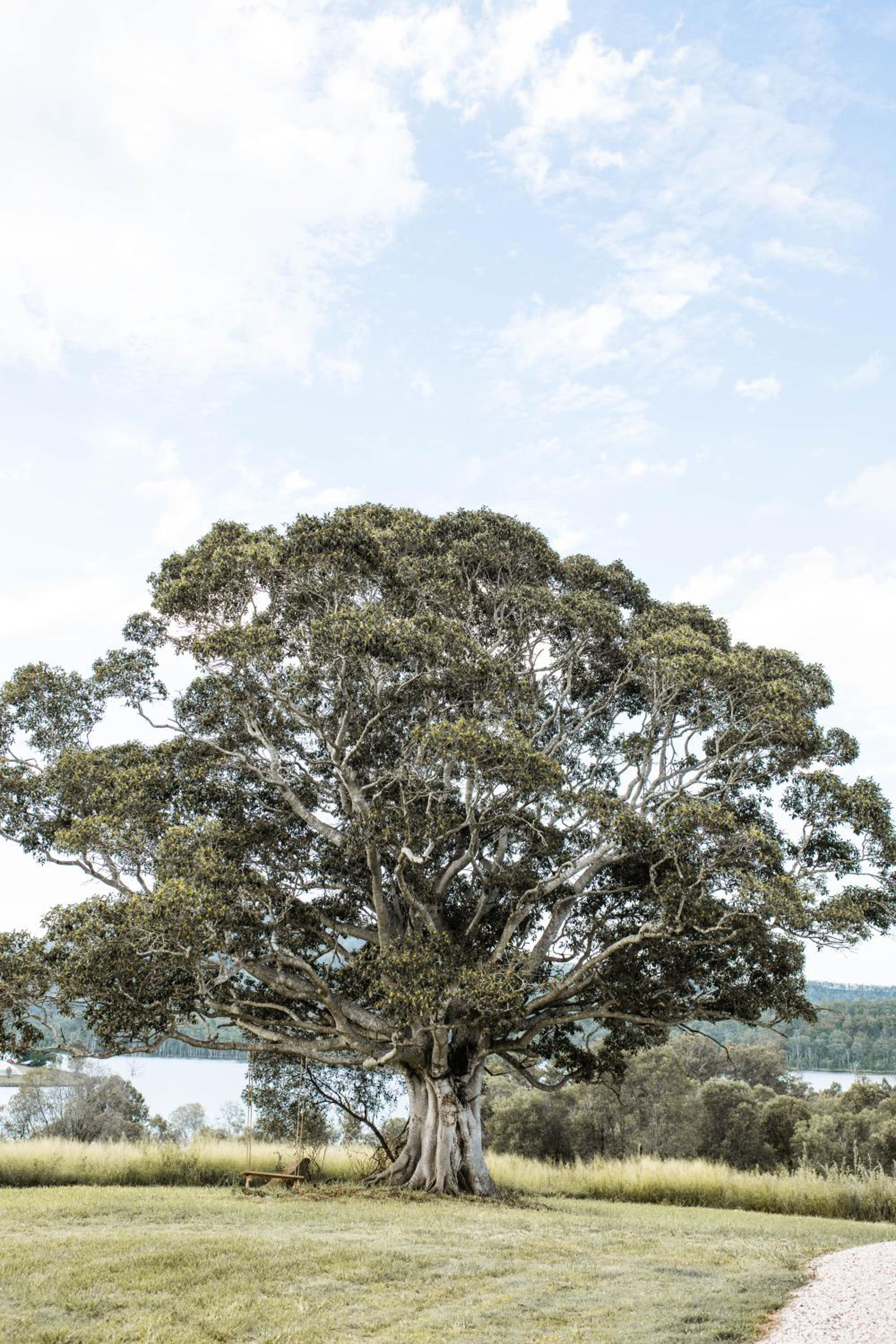 Wander in the Scenic Rim