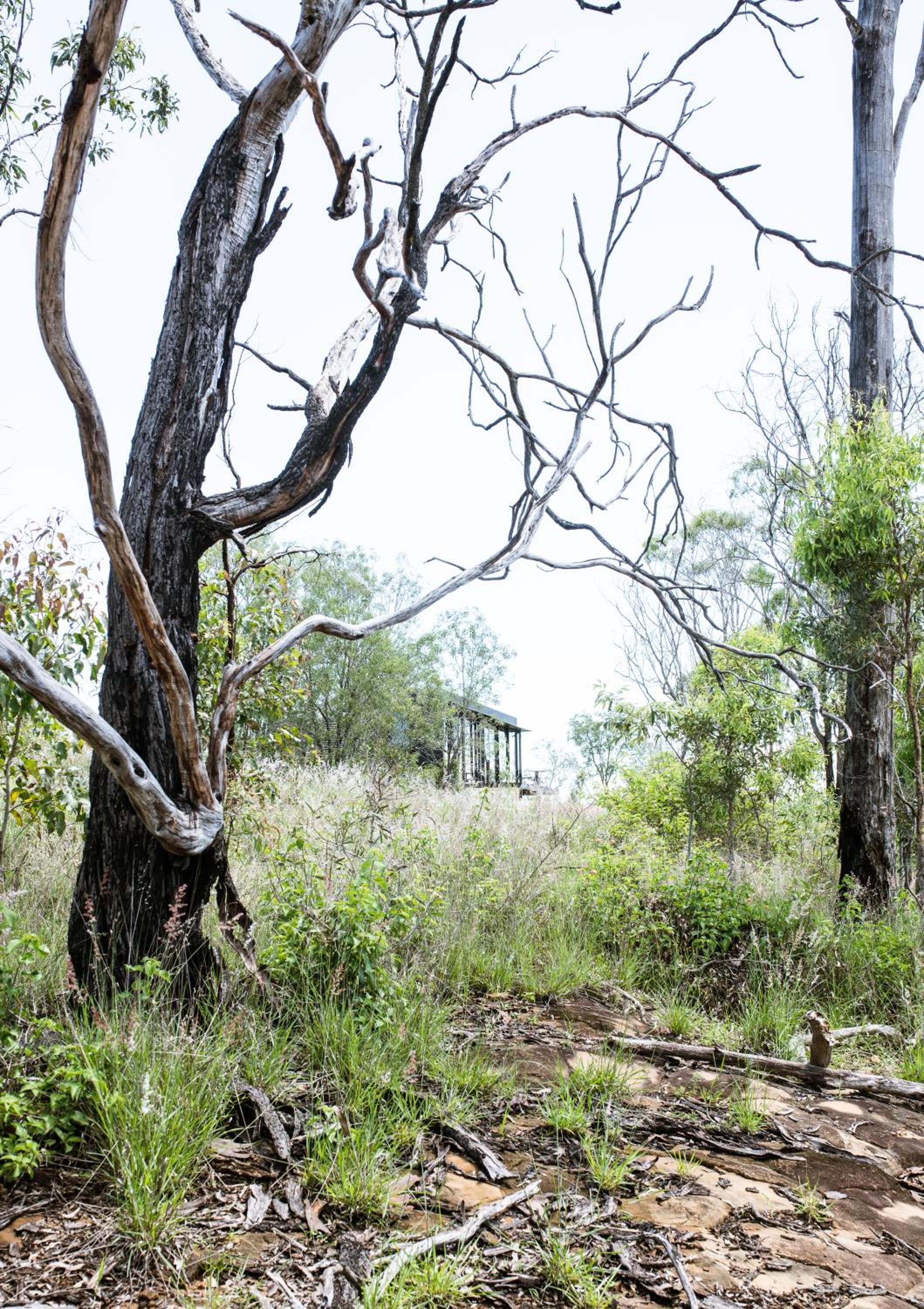 Wander in the Scenic Rim