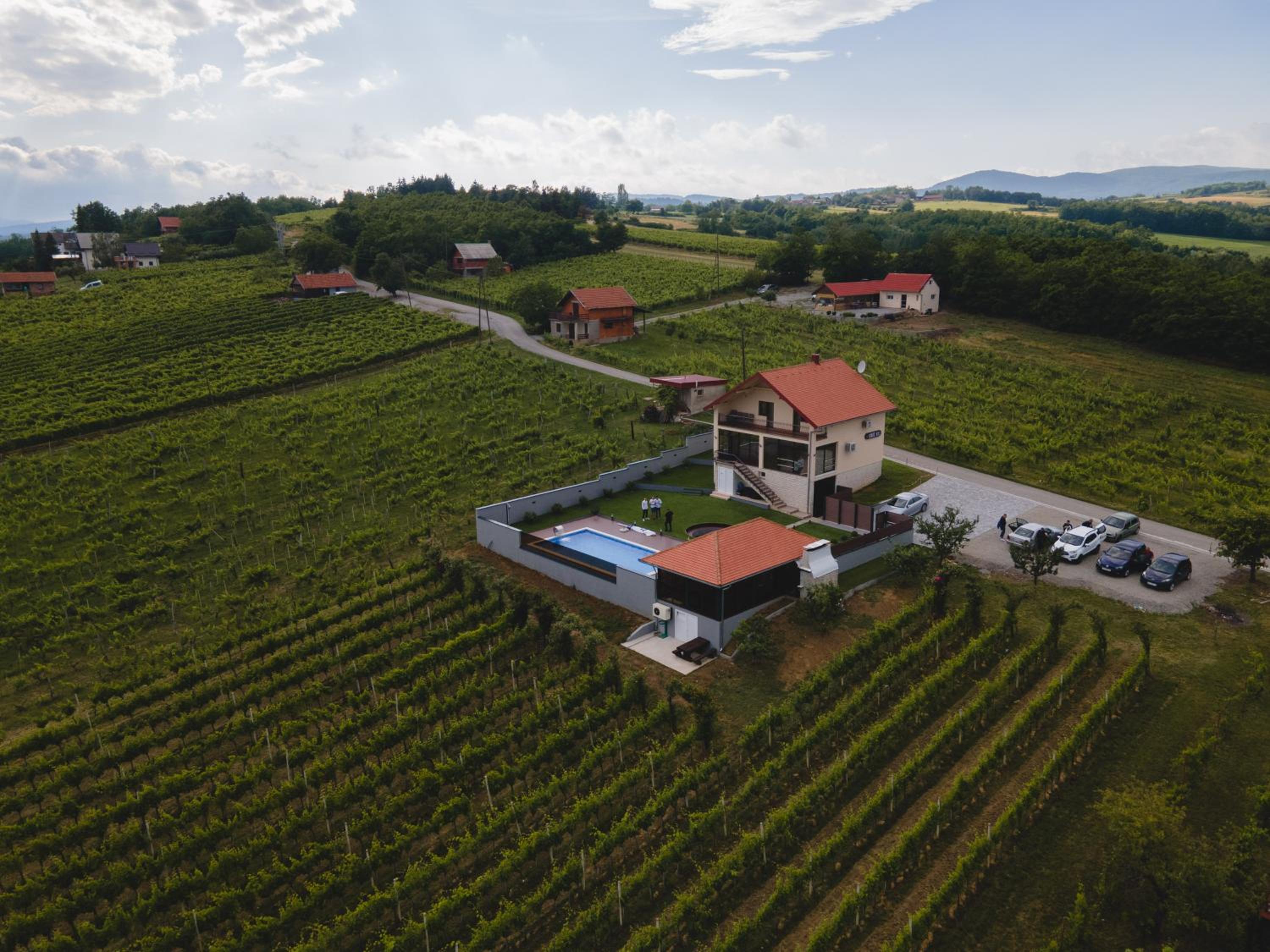 Private Vineyard Villa with Heated Pool, Spa & BBQ by Destination GREEN Croatia view 4